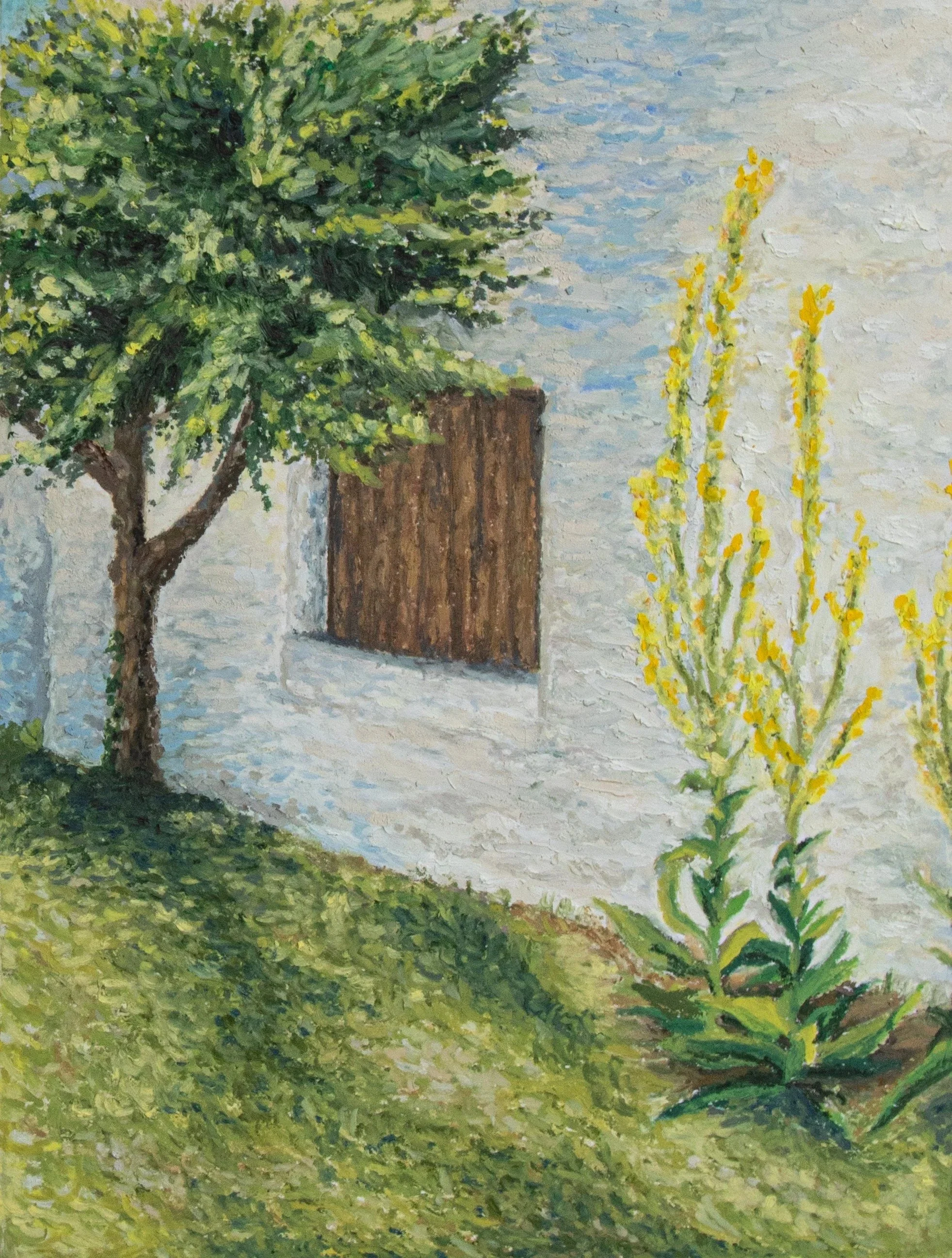 Oil pastel painting of a lush green tree and yellow flowering plant next to a white house wall with a closed brown window shutter.