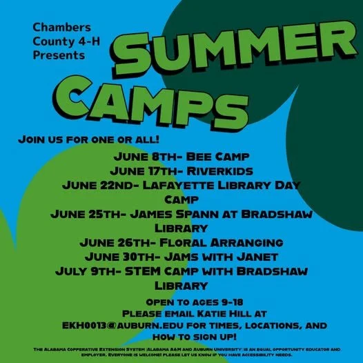 Fun and sun at Chambers County 4-H camps