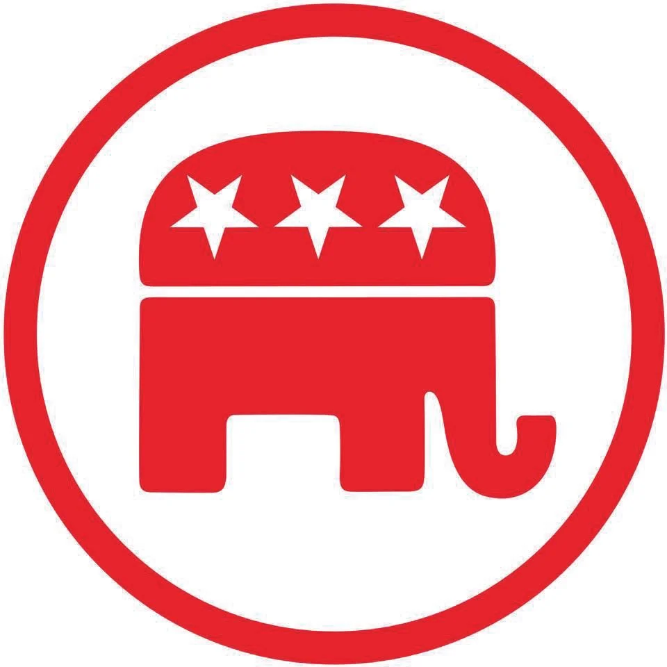 Rep. Nelson provides legislative update at Chambers County Republican club