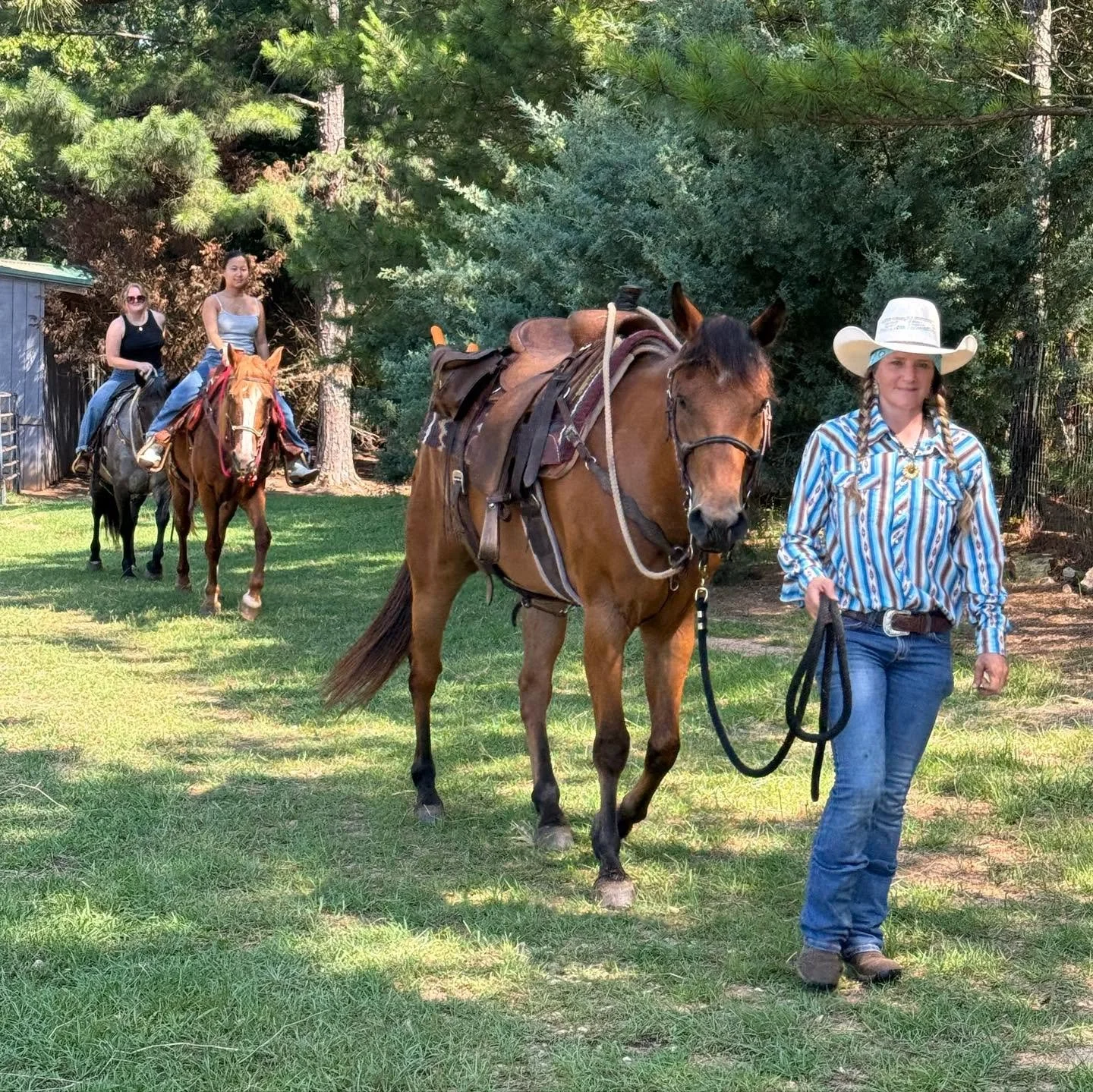 Alabama equestrian announces opening of a new holistic horsemanship business