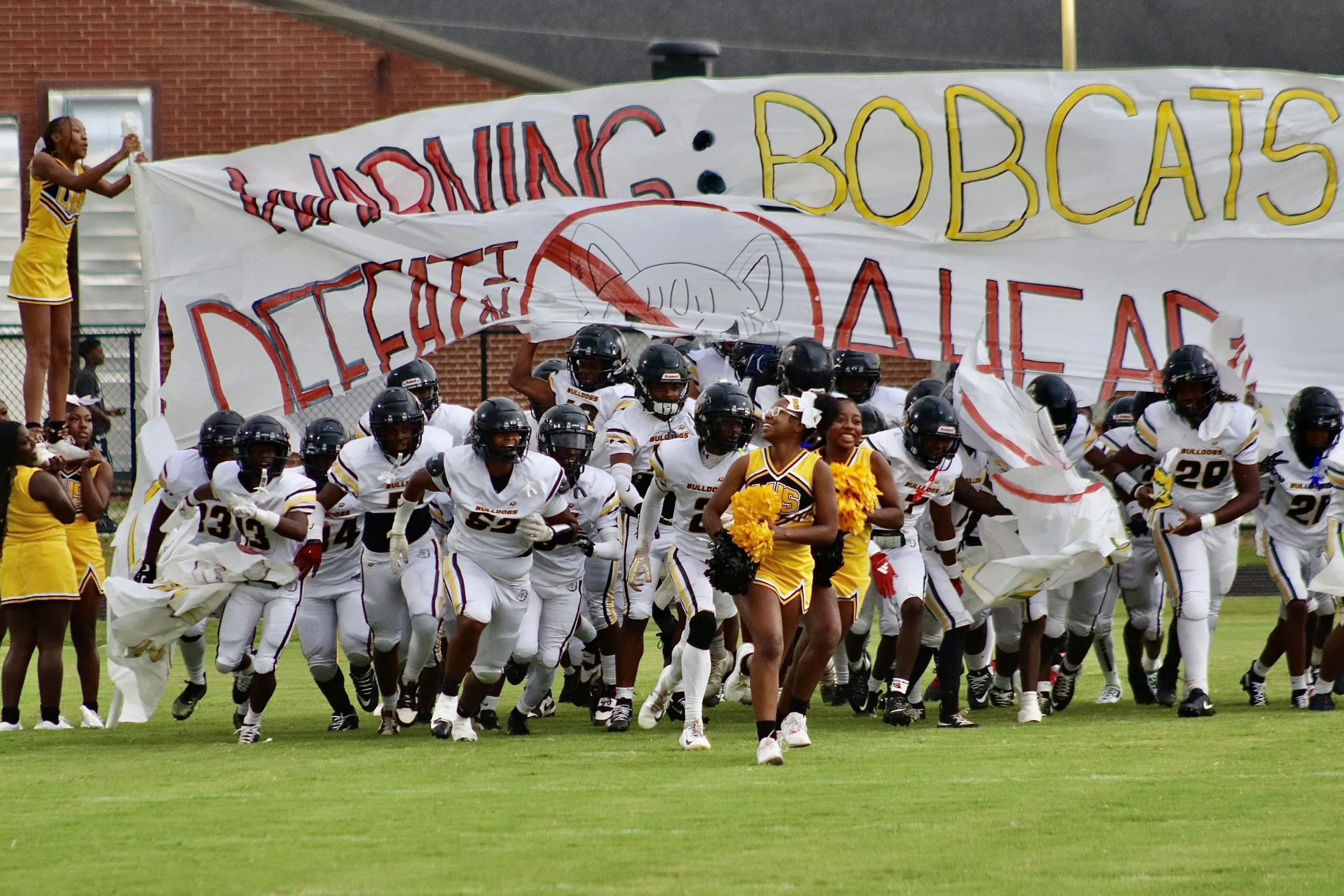 Bulldogs’ comeback bid falls short