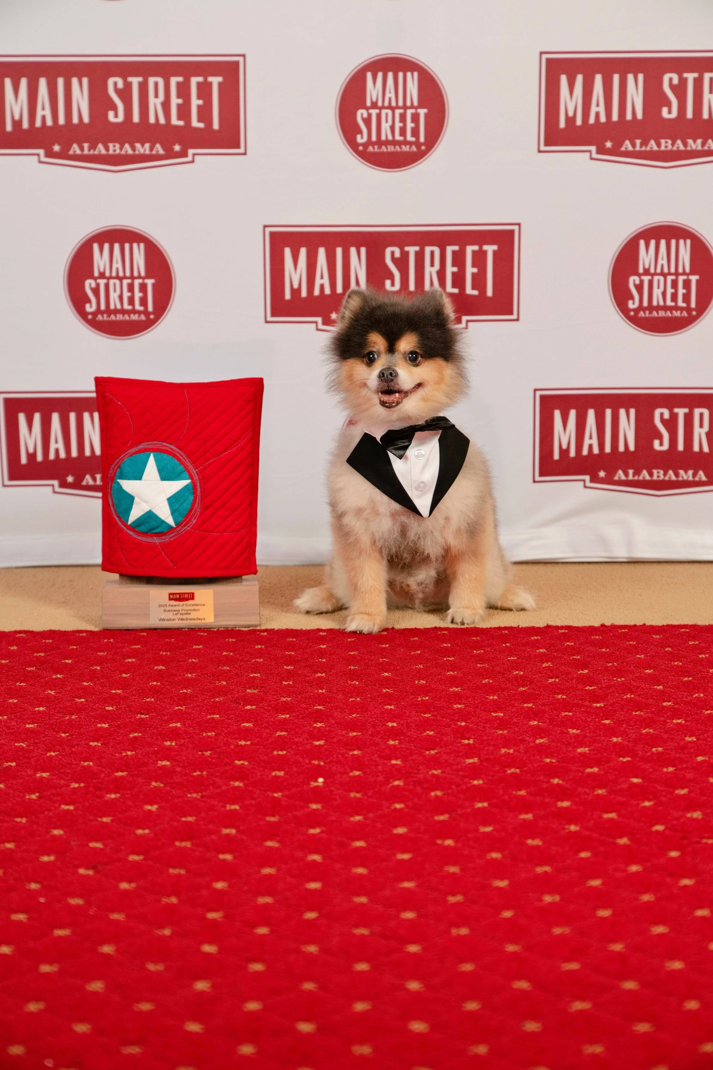 LaFayette Main Street shines at Awards of Excellence&nbsp;