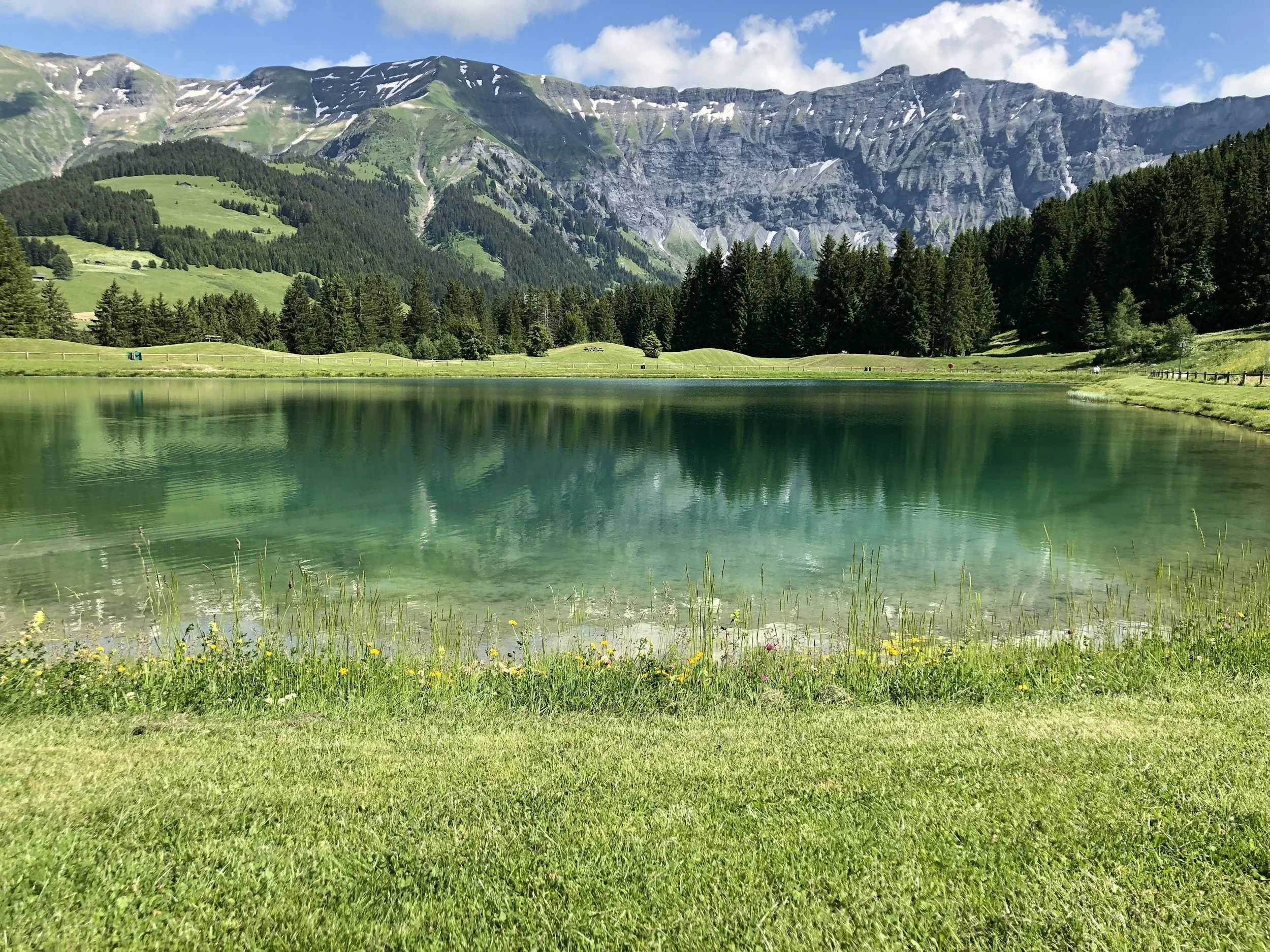 Background image is of a alpine mountain lake in springtime