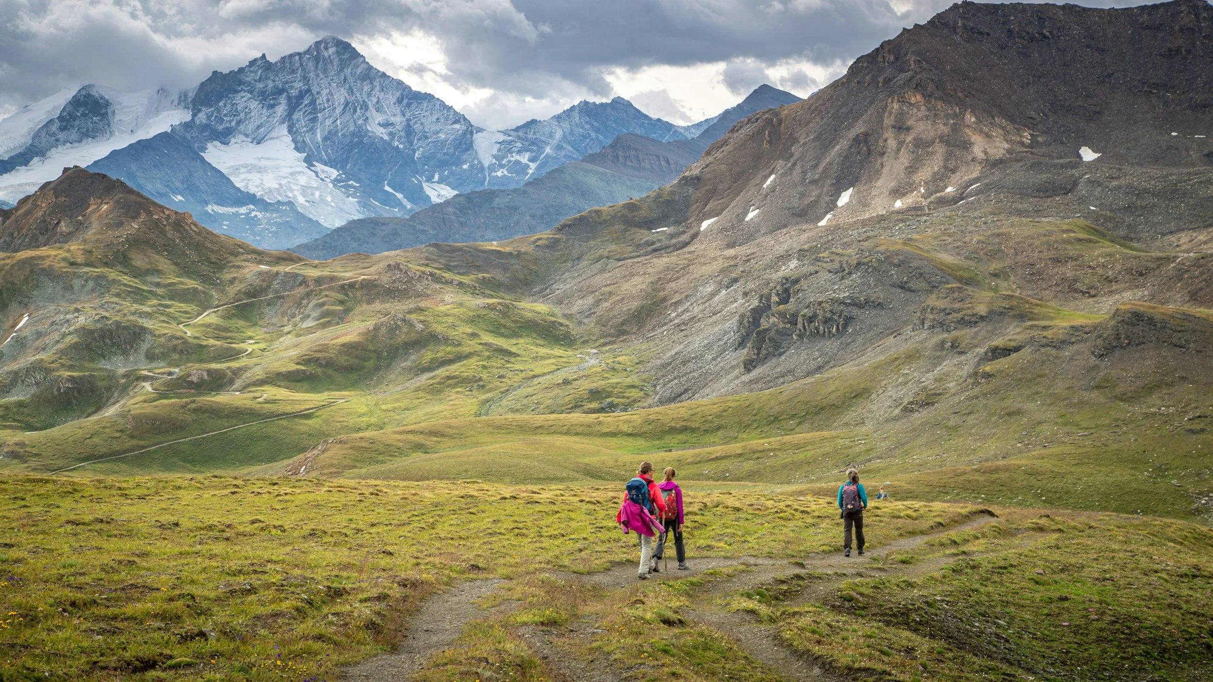 Hiking trail through the mountains. In the foreground is an open meadow with sharp jagged mountains with some snow in the background