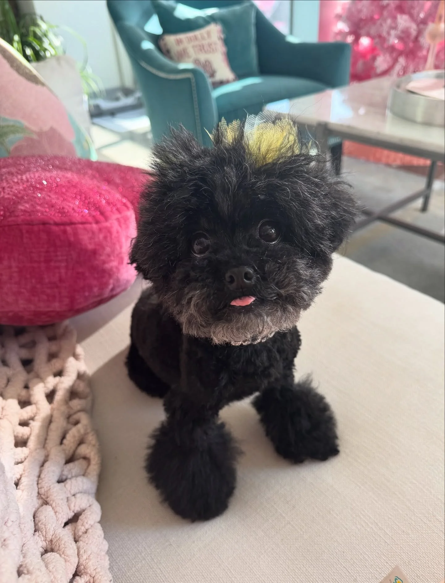 my little lady turned 8 today! she&rsquo;s my best buddy &amp; one of the greatest blessings of my life 🩷 happy birthday to my baby dolly 🐩