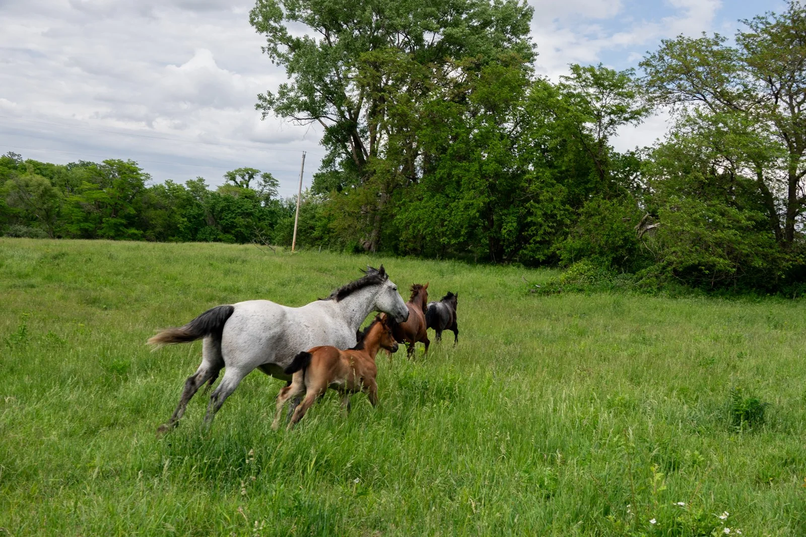 Chasing Down a Dream