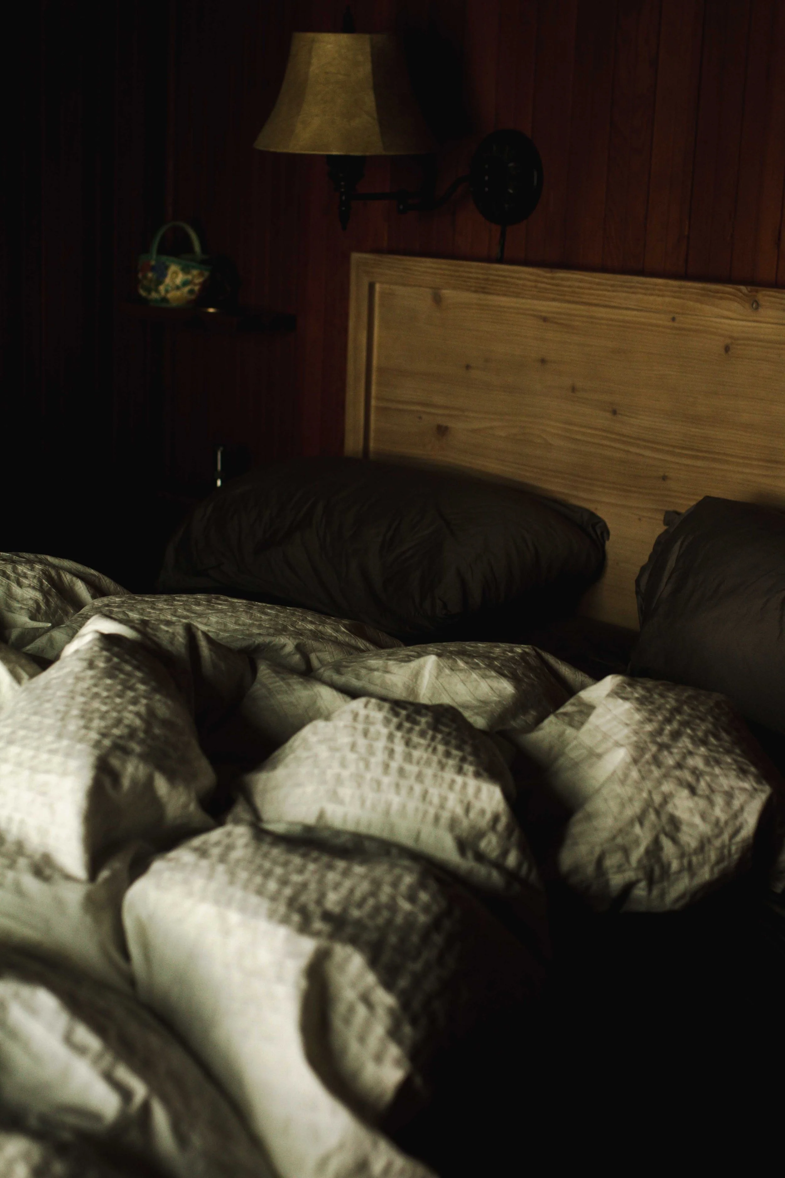 vashon island-58.jpg