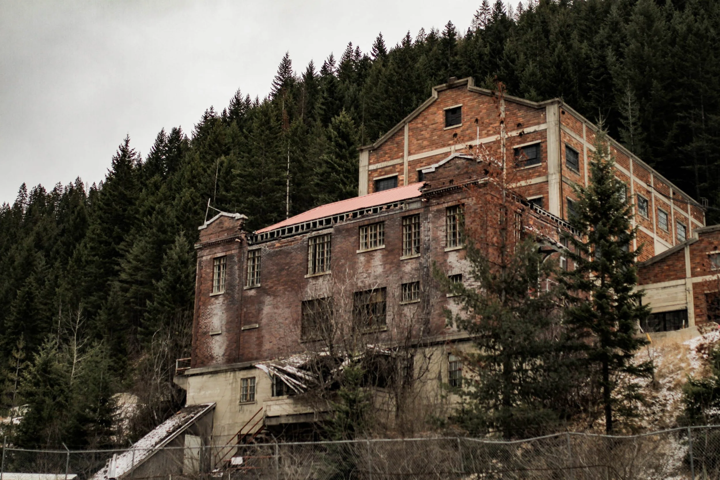 wallace black friday-59.jpg