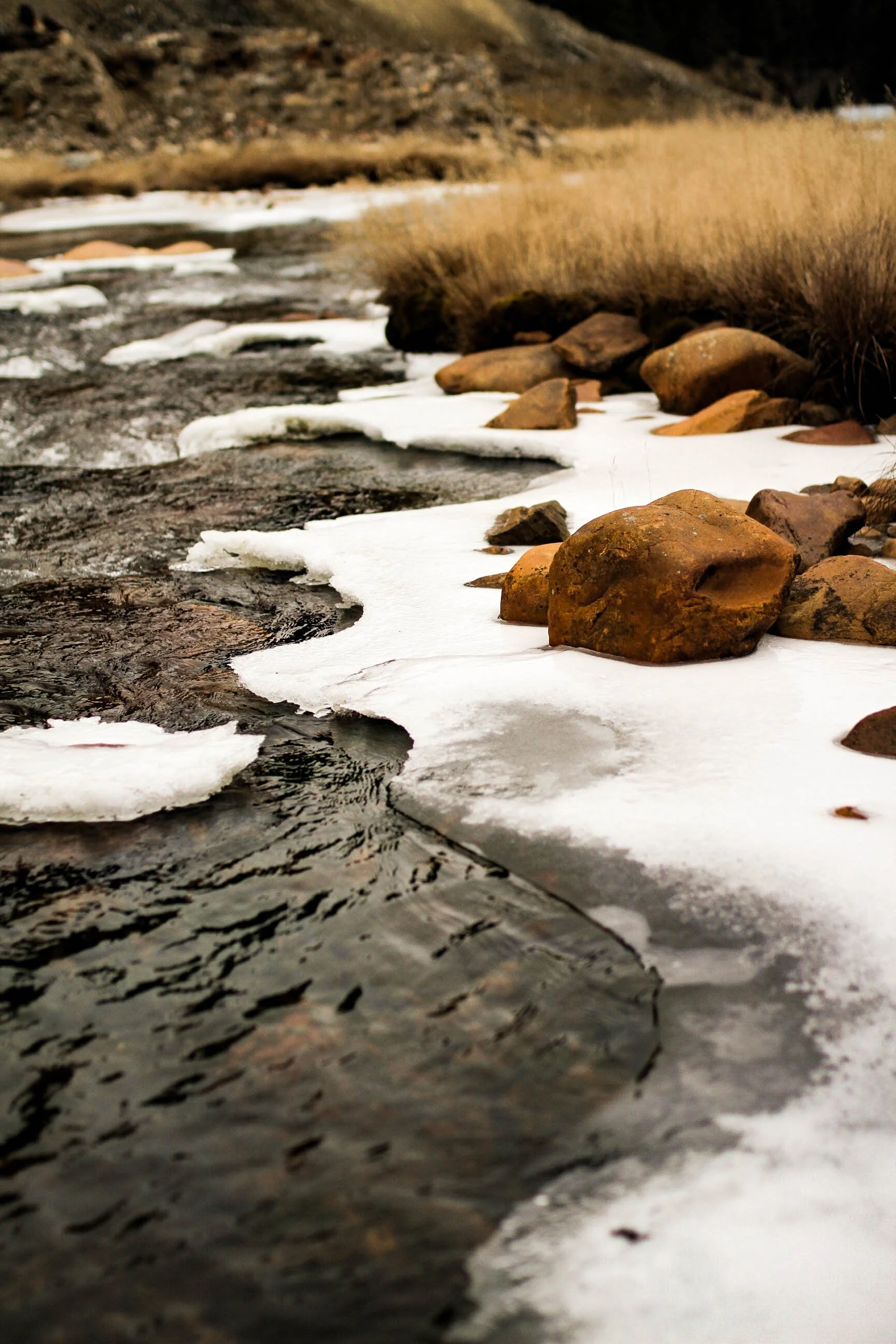 wallace black friday-82.jpg