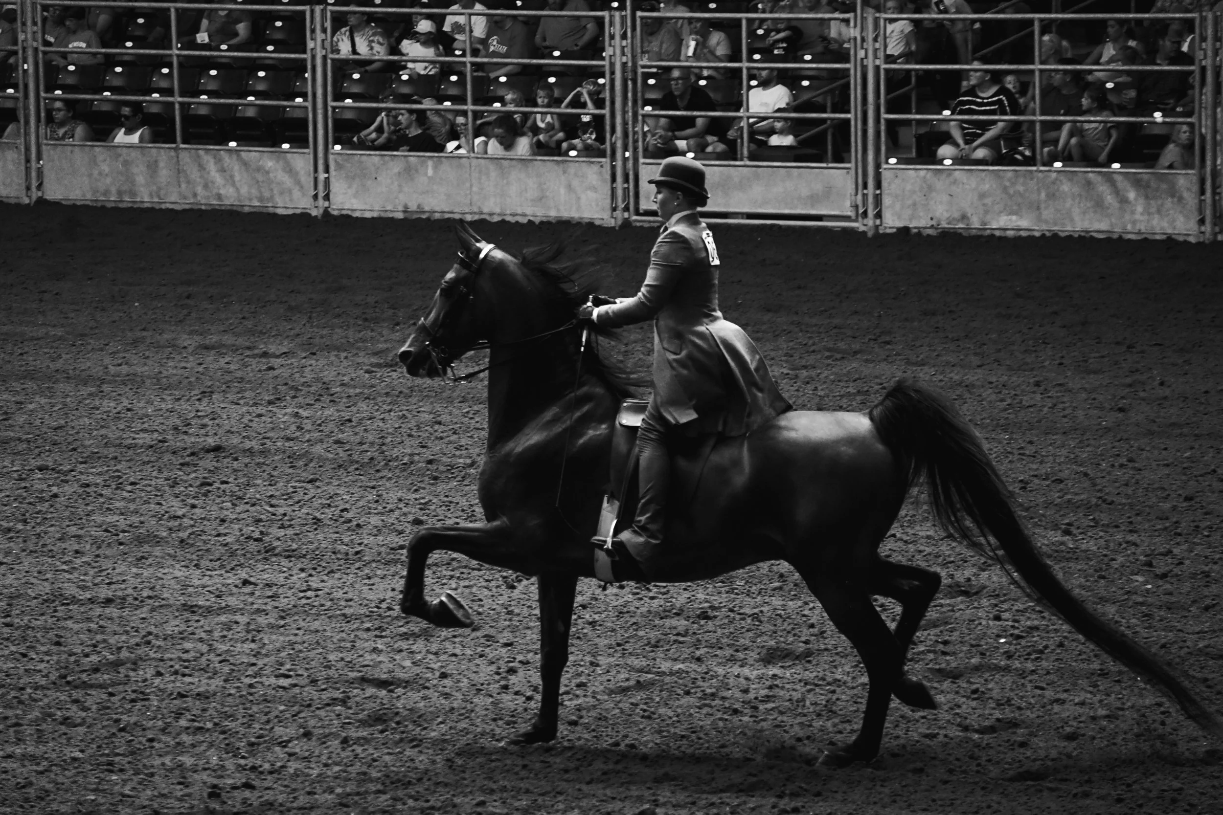 state fair horse show-6.jpg