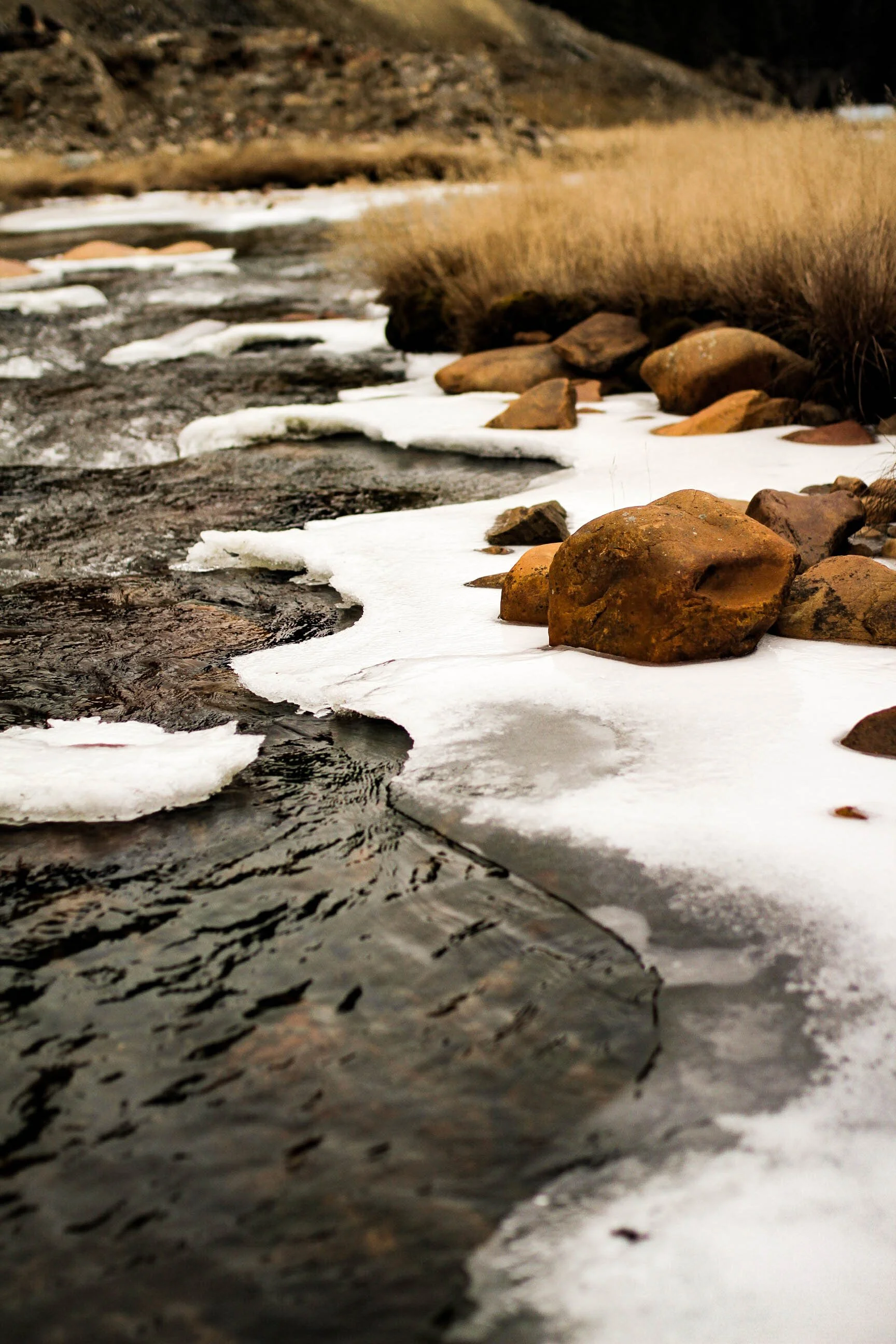 wallace black friday-82.JPG