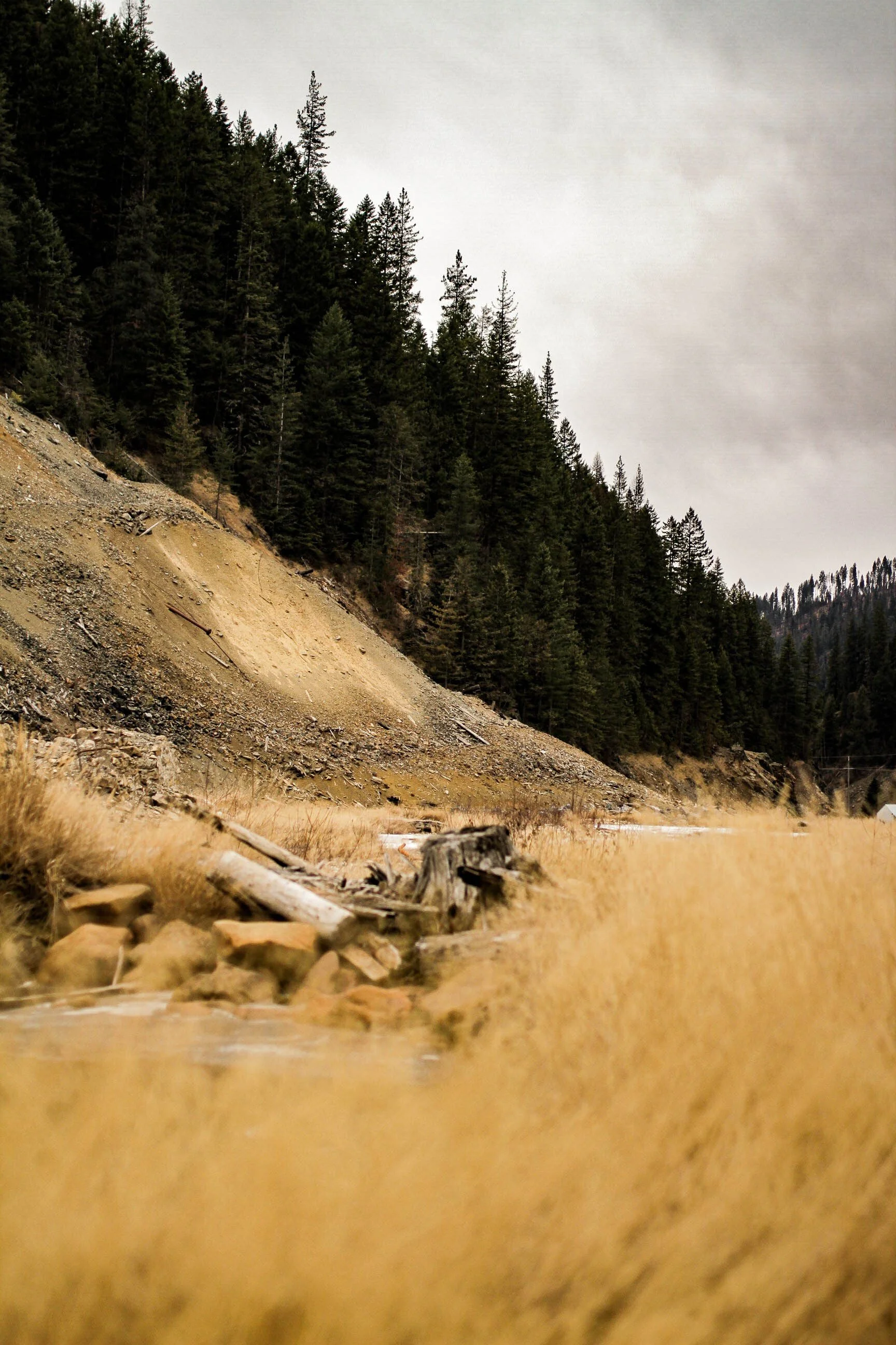 wallace black friday-80.JPG