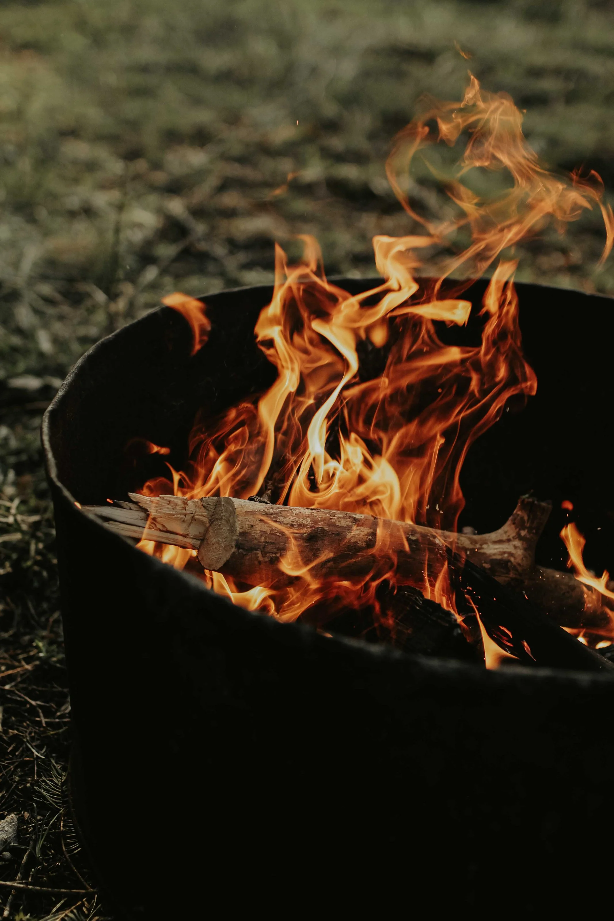 outdoor photos-8.jpg