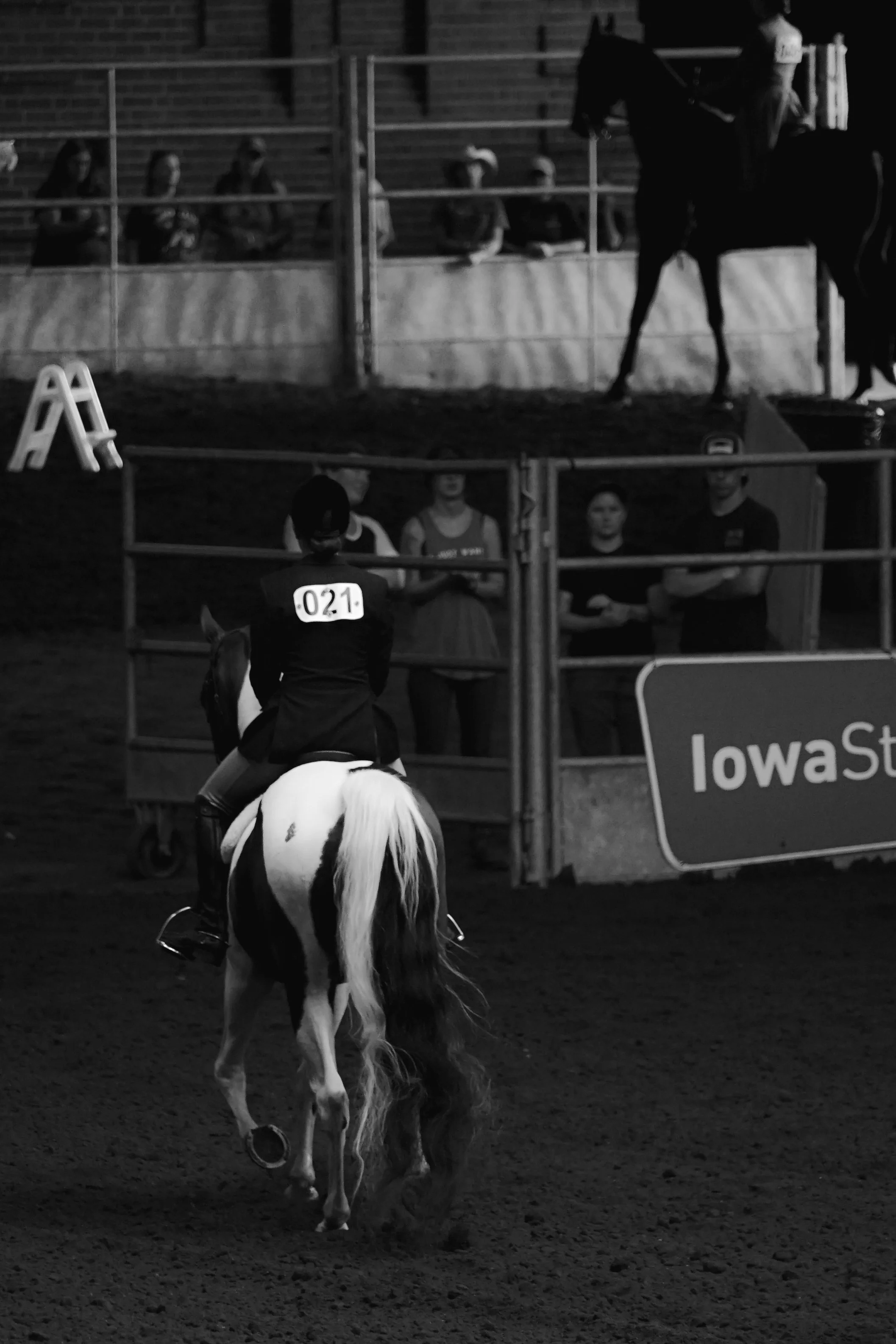 state fair horse show-2.jpg