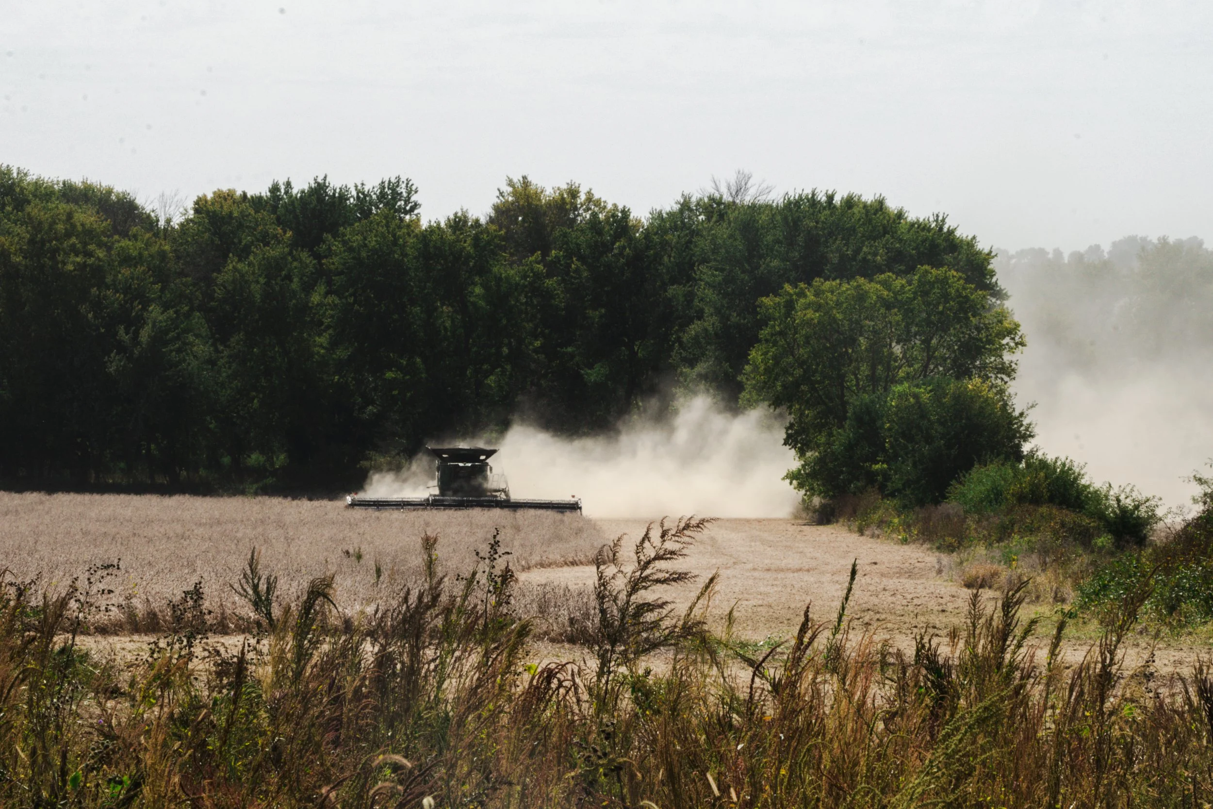 harvest-84.jpg