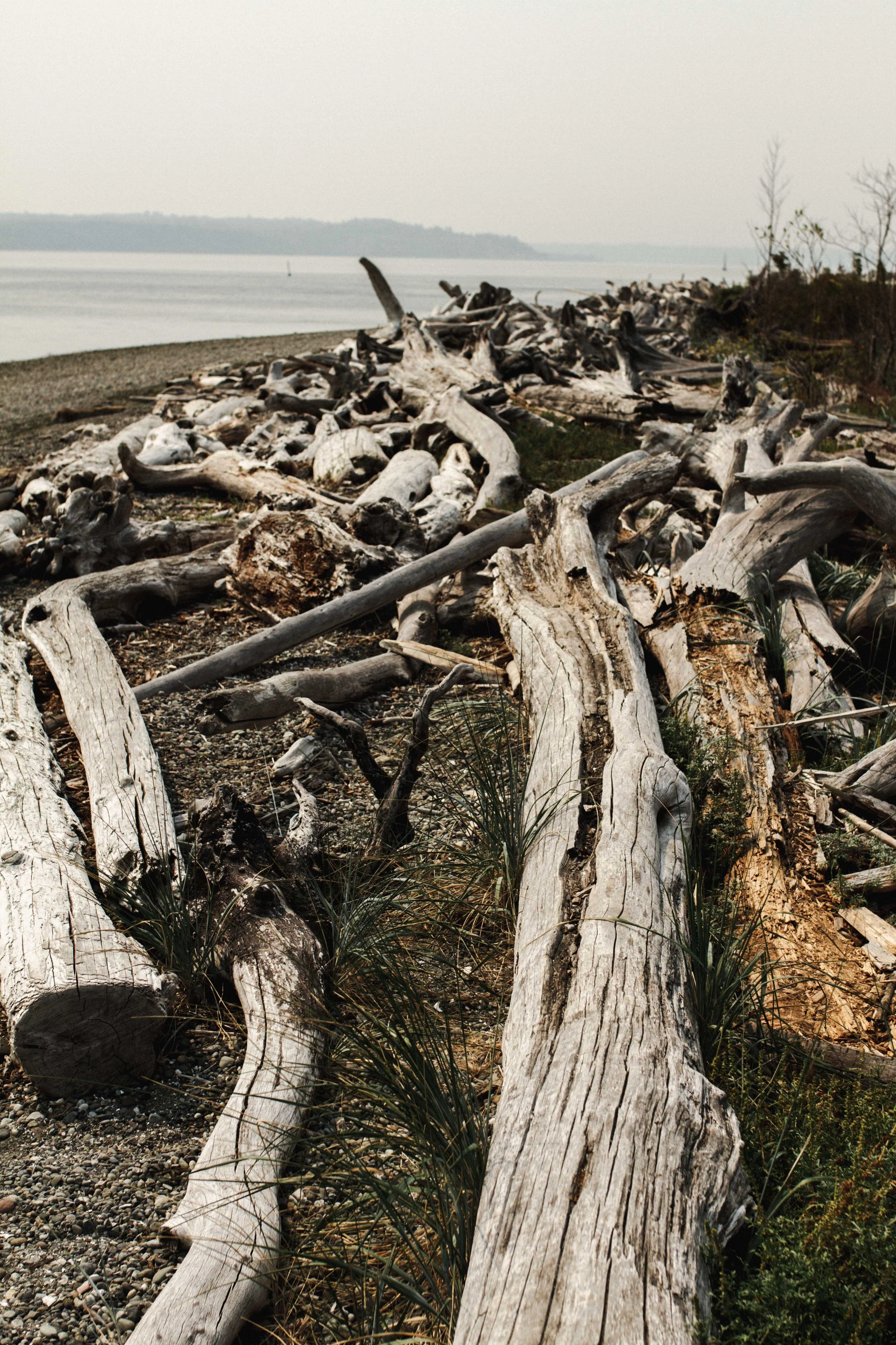 vashon island-49.jpg