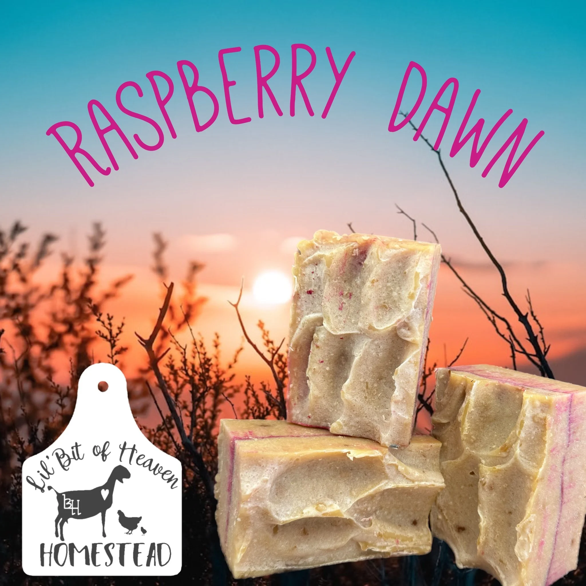 🌤️Raspberry Dawn