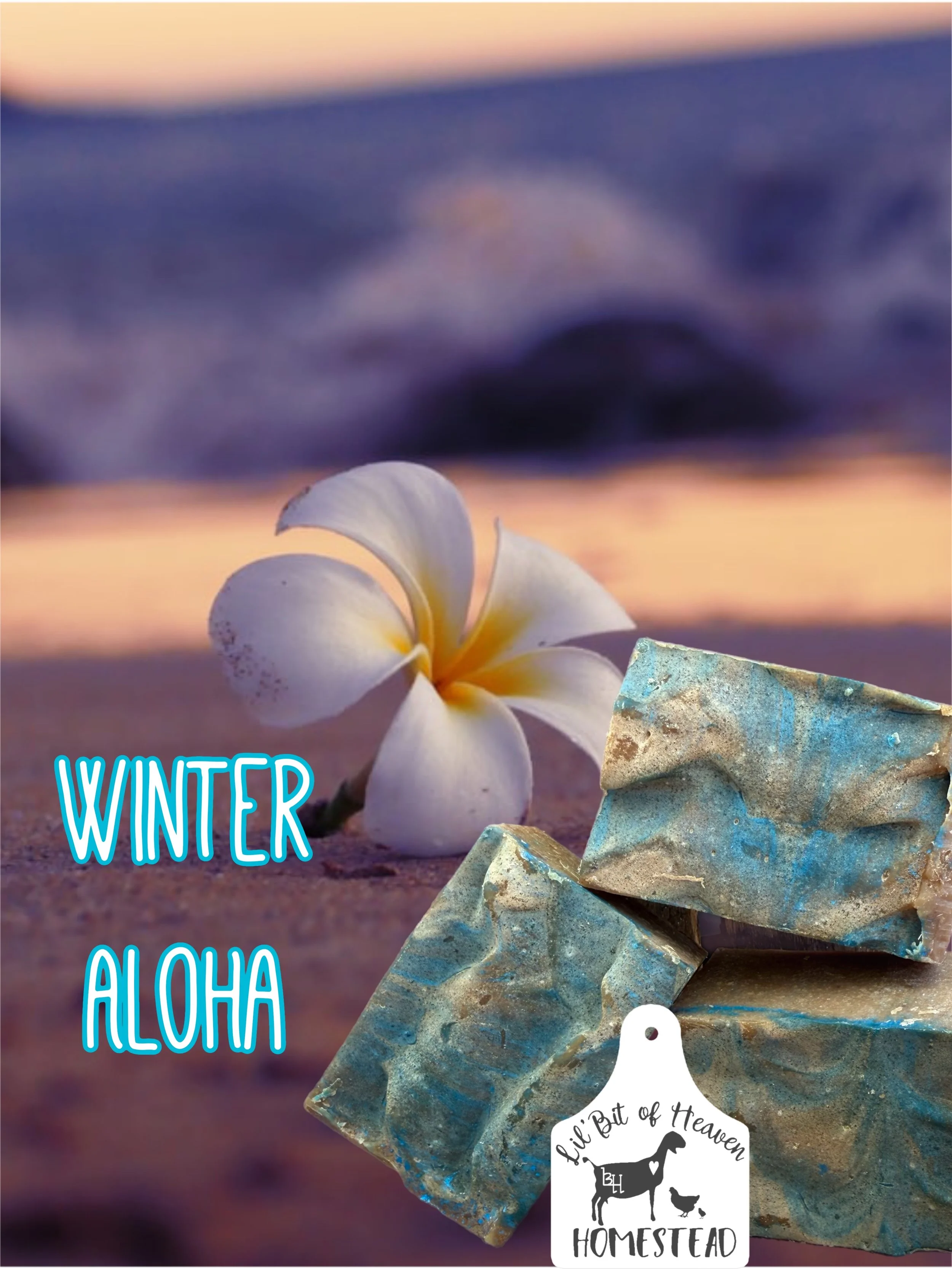 ❄️🌺Winter Aloha