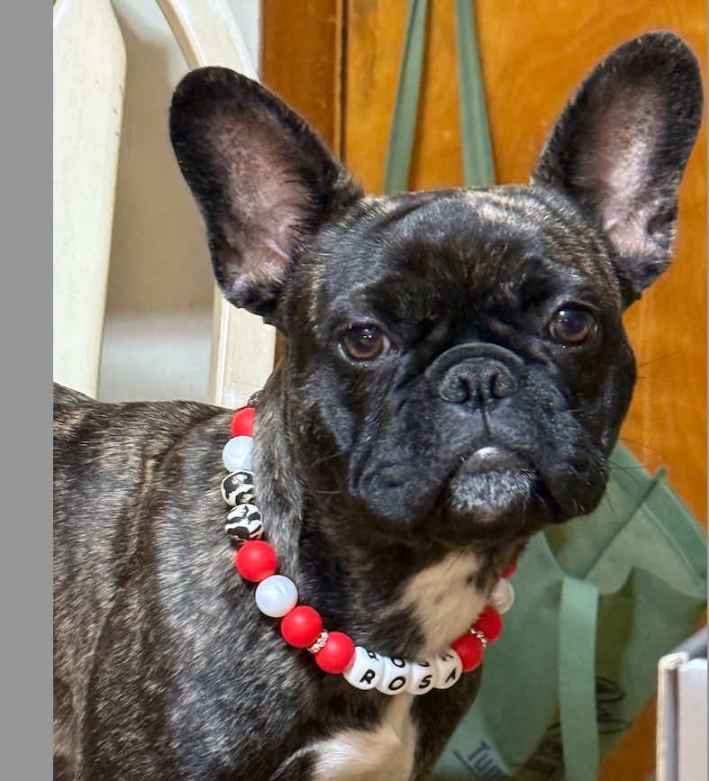 Screen Shot 2025-11-29 at 4.30.45 PM.png