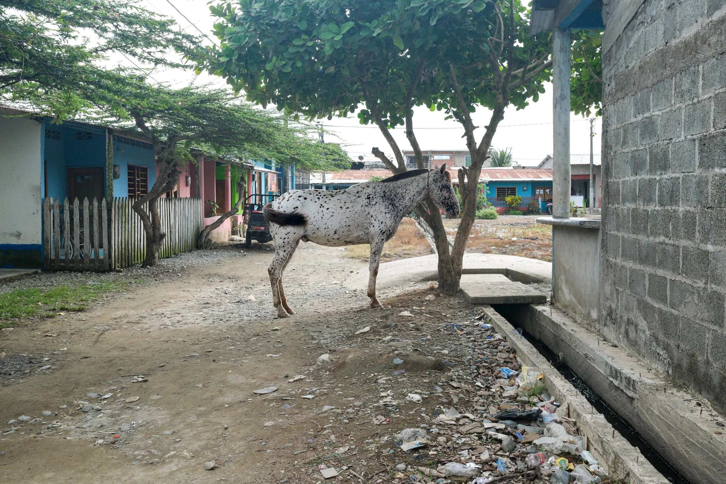 DSCF1129.jpg