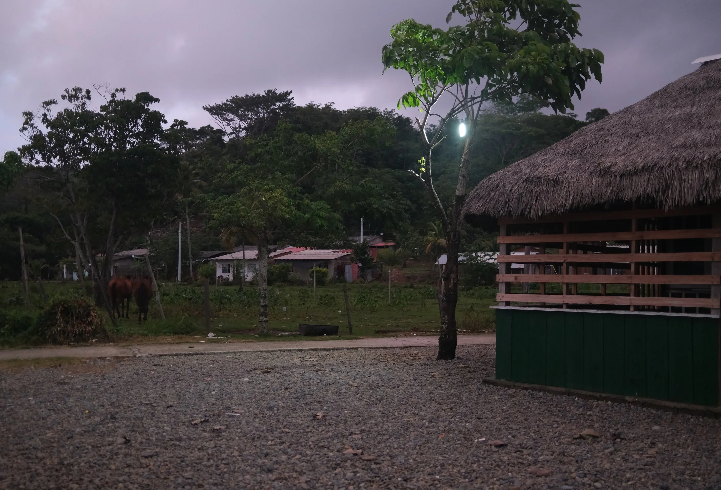 DSCF1430.jpg
