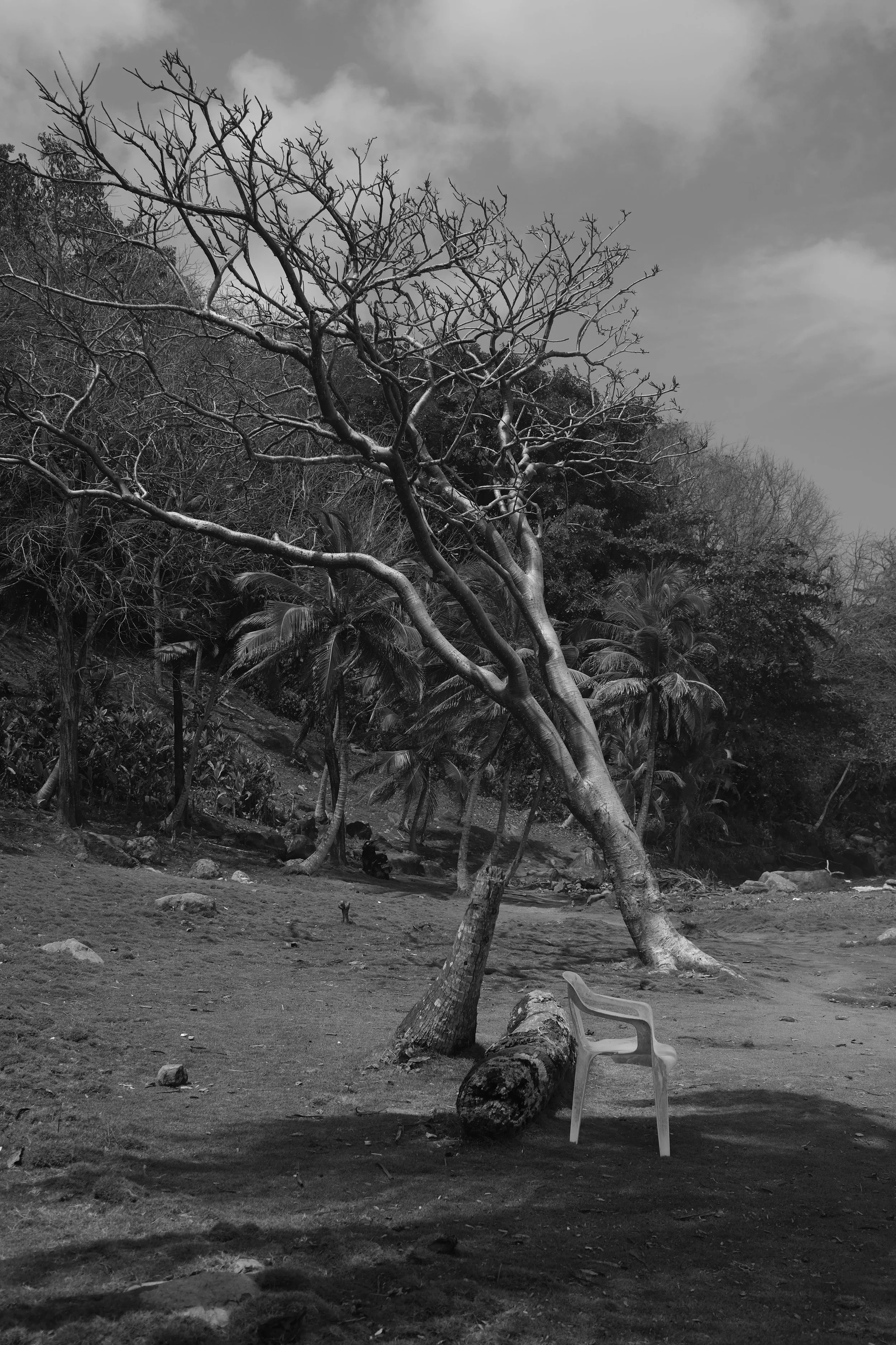 DSCF0881 - Copie.jpg