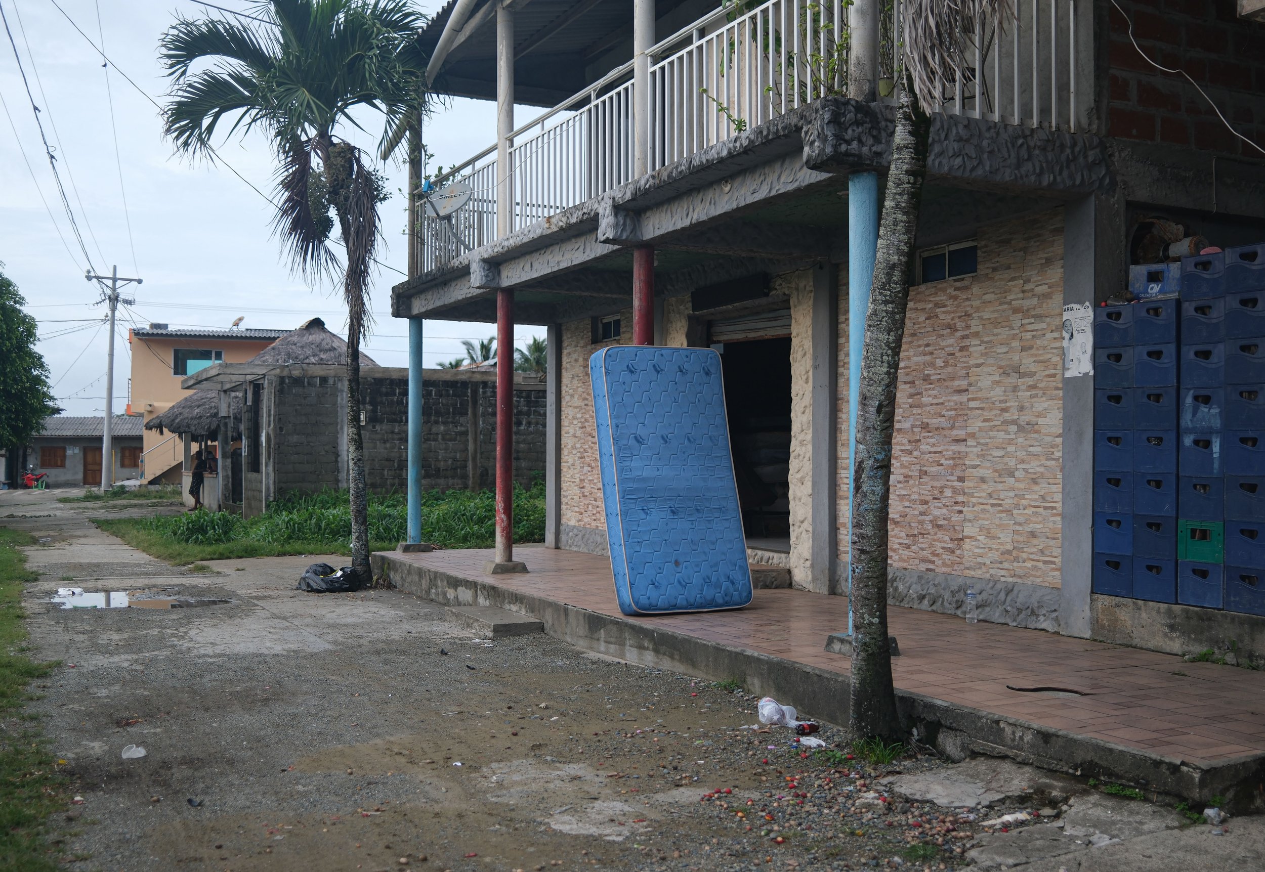 DSCF1356-2.jpg