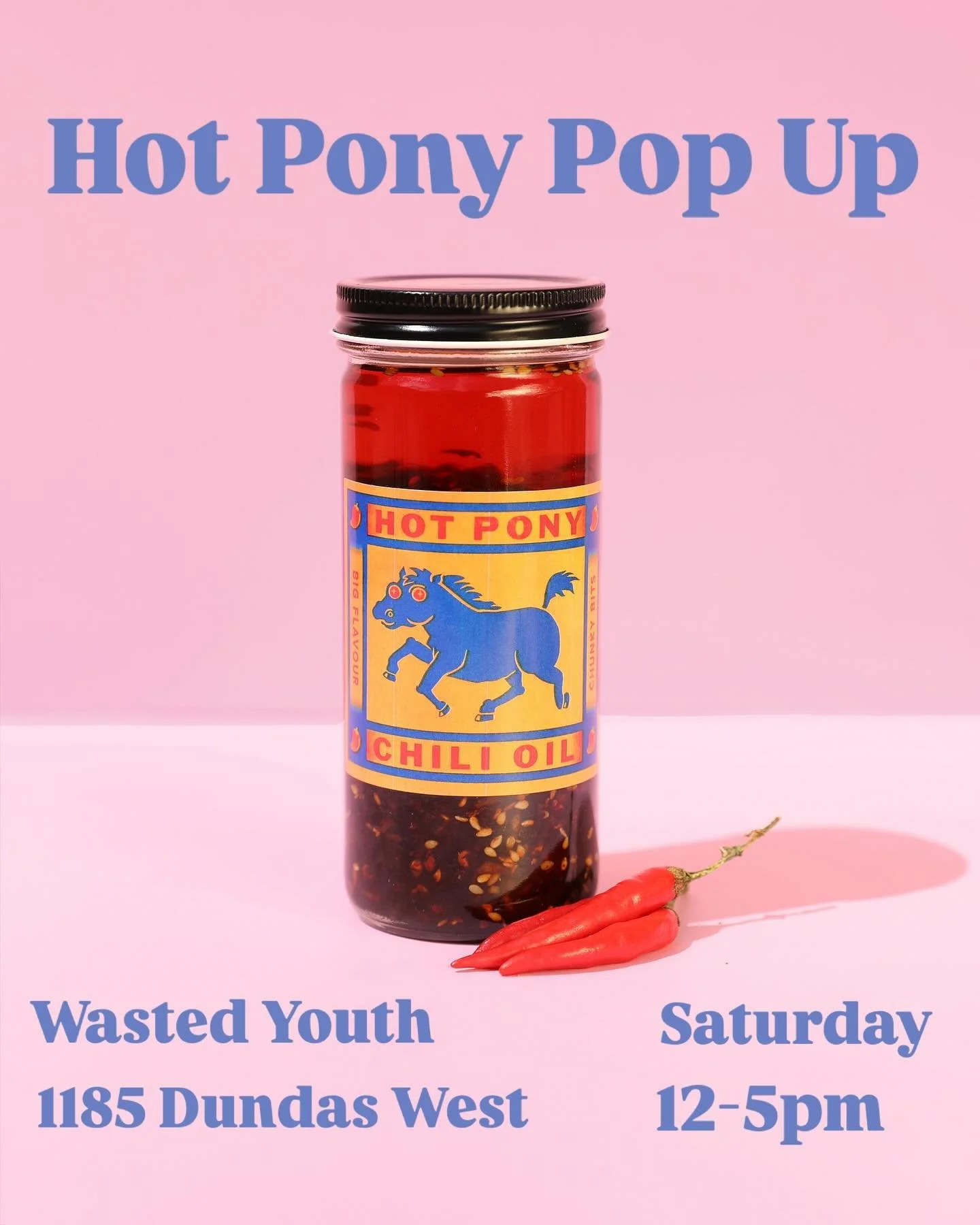 Hi Ponies! We&rsquo;re excited to announce we&rsquo;ll be at the @wastedyouthbar holiday market this Saturday! Our chili oil makes great gifts for anyone who loves delicious things - grab a couple for yourself too!
1185 Dundas street west - near Ossi
