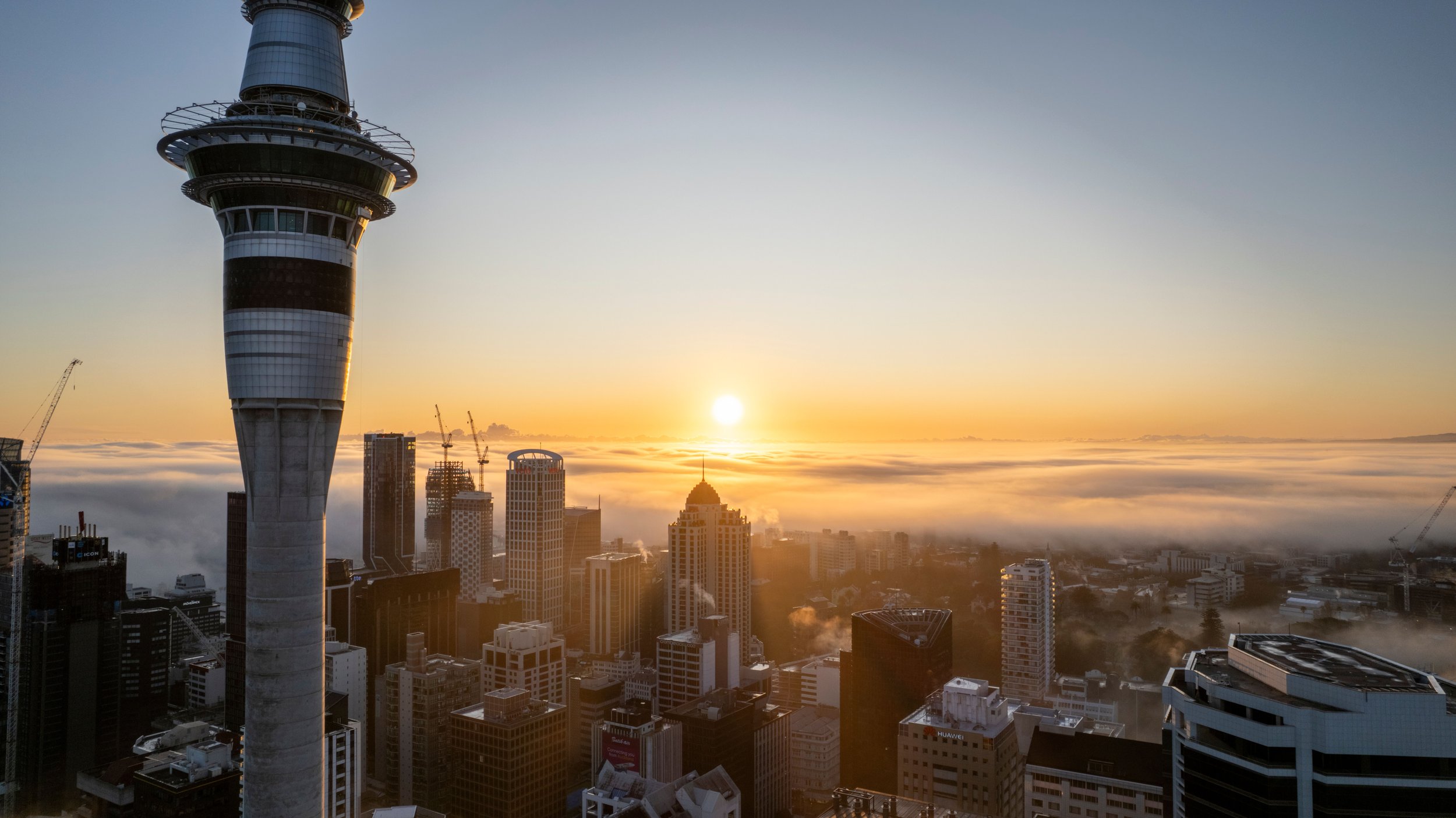 AI marketing in New Zealand: What it is, what it is not, and how to use it without wasting money