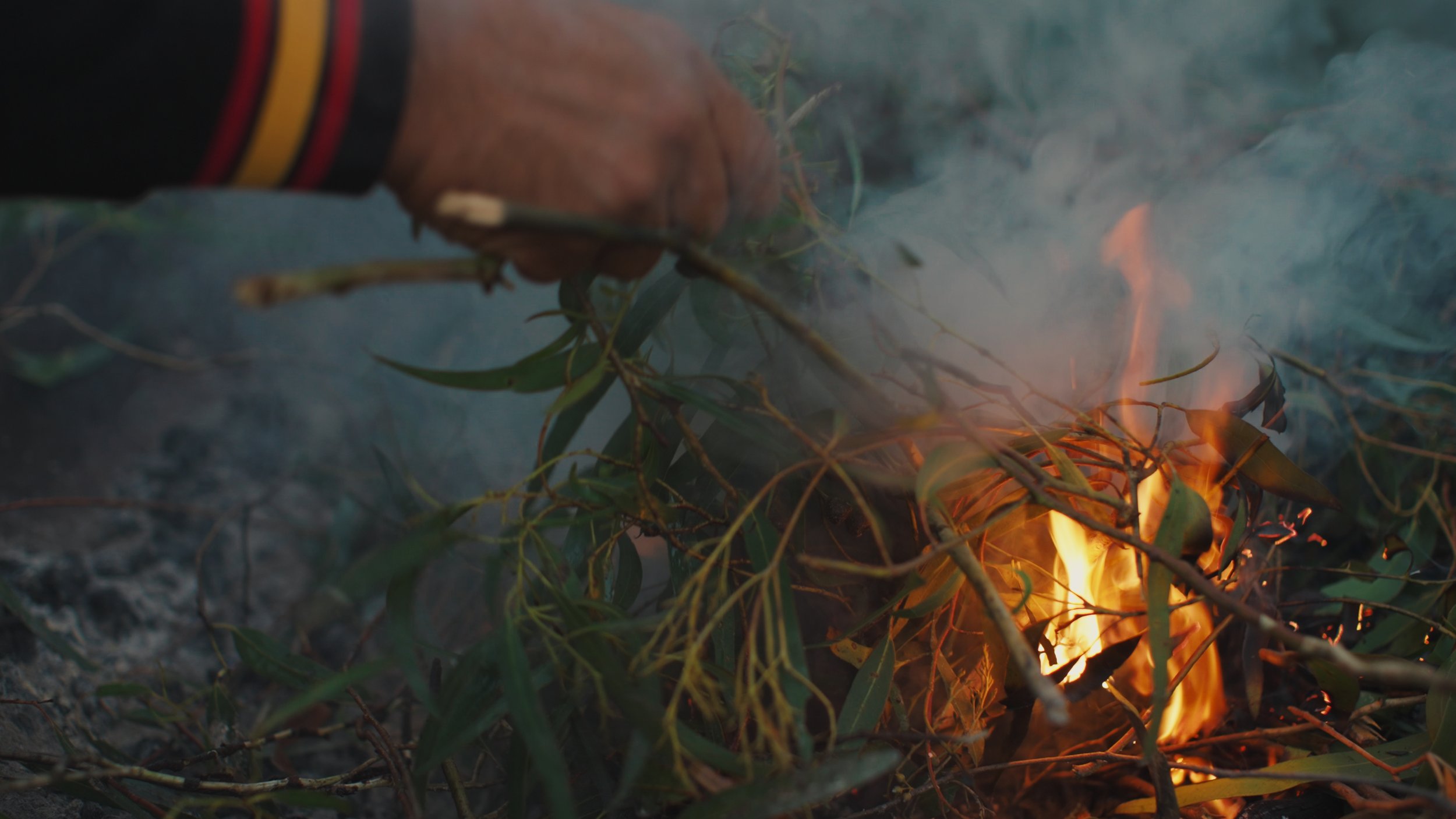 2026_01_Intro Wominjeka_Final_00_01_22_14.jpg