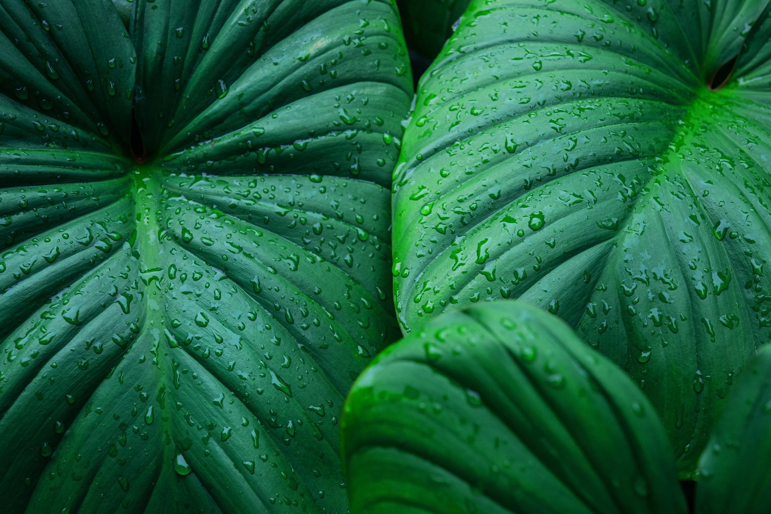 Enpower Greentech commitment to green innovation