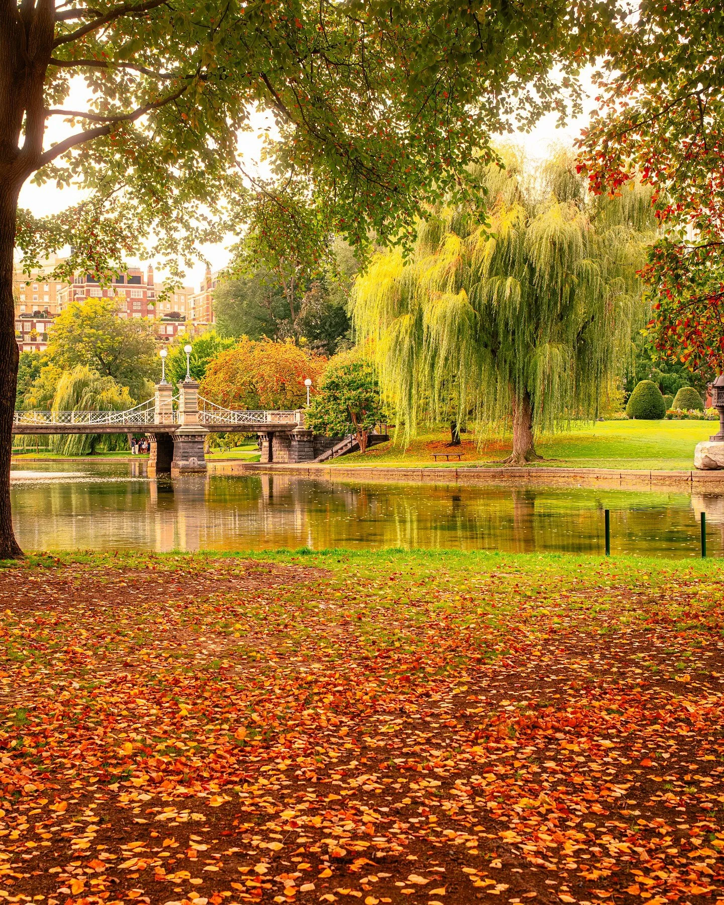 Sunday slows down here 🍁

The city feels different on Sundays; softer, quieter, and a little more golden. The Public Garden turns into a canvas of color, where every leaf seems to fall in slow motion. It&rsquo;s that perfect in-between moment before