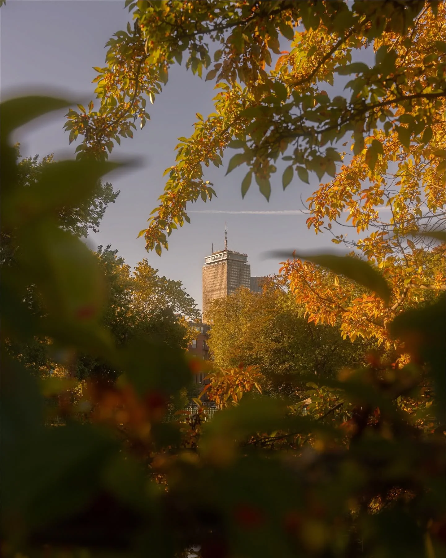 A little golden light for our rainy Wednesday ☀️🌧️

Boston might be under clouds today, but these scenes from a calm morning by the Charles are here to warm things up. The soft glow, still water, and quiet reflections remind me that even when the we