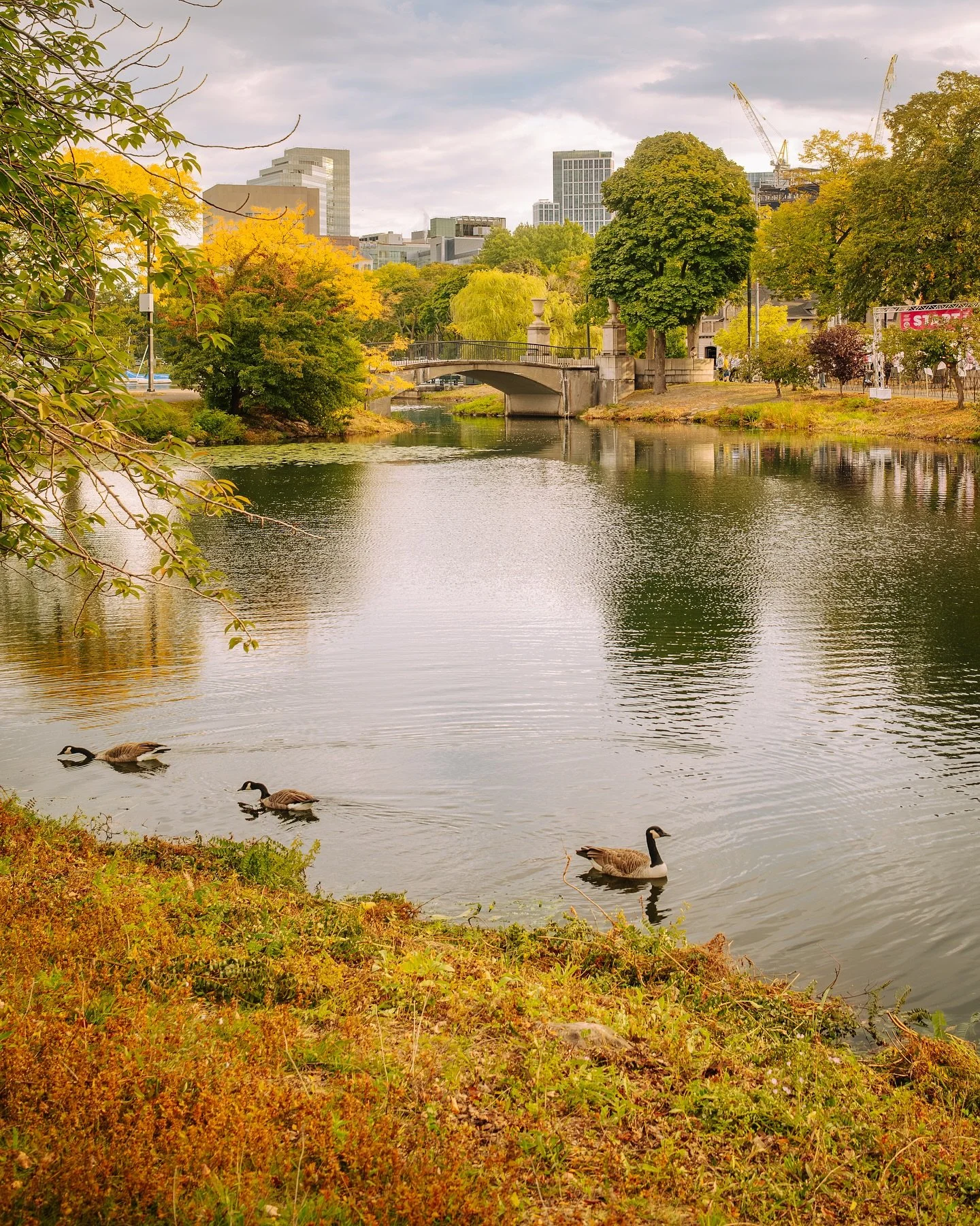 Slow mornings in the city hit different 🍂
There&rsquo;s something about watching the city wake up that never gets old. The golden tones, the quiet ripples on the water, and the sound of geese breaking the stillness, it&rsquo;s Boston&rsquo;s version