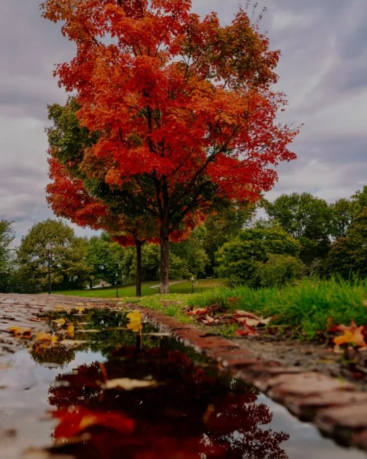 Rainy Thursdays hit different in Boston 🌧️🍁

There&rsquo;s a calm that settles in right after the rain, the streets quiet down, the colors get deeper, and every puddle turns into a mirror for the city. I caught this reflection just as the clouds st