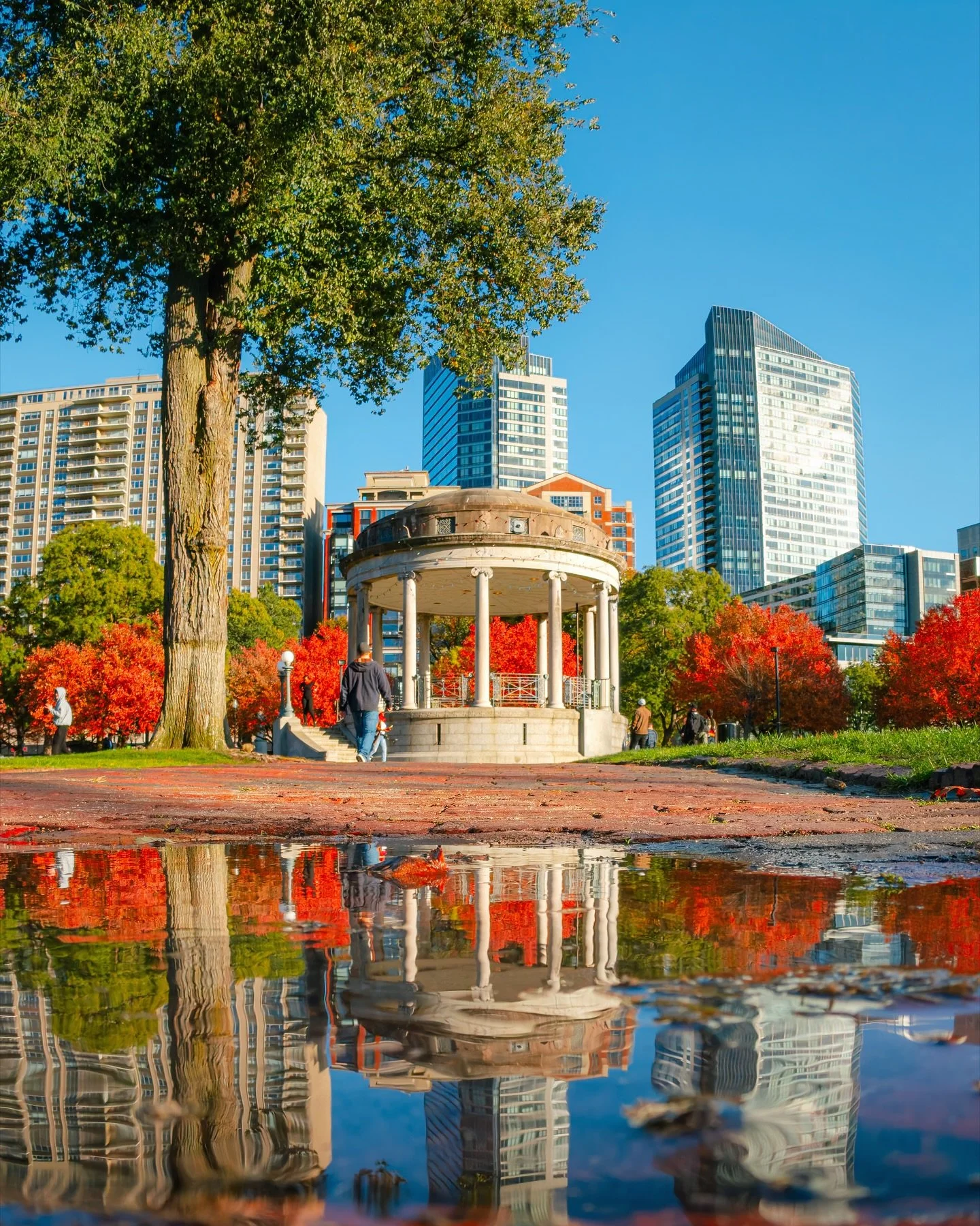Boston really shows off when fall and reflections team up 🍂 

The Public Garden was glowing with deep reds, perfect light, and one of those puddles that turns the whole scene into a mirror if you drop low enough. And here&rsquo;s the wild part&helli