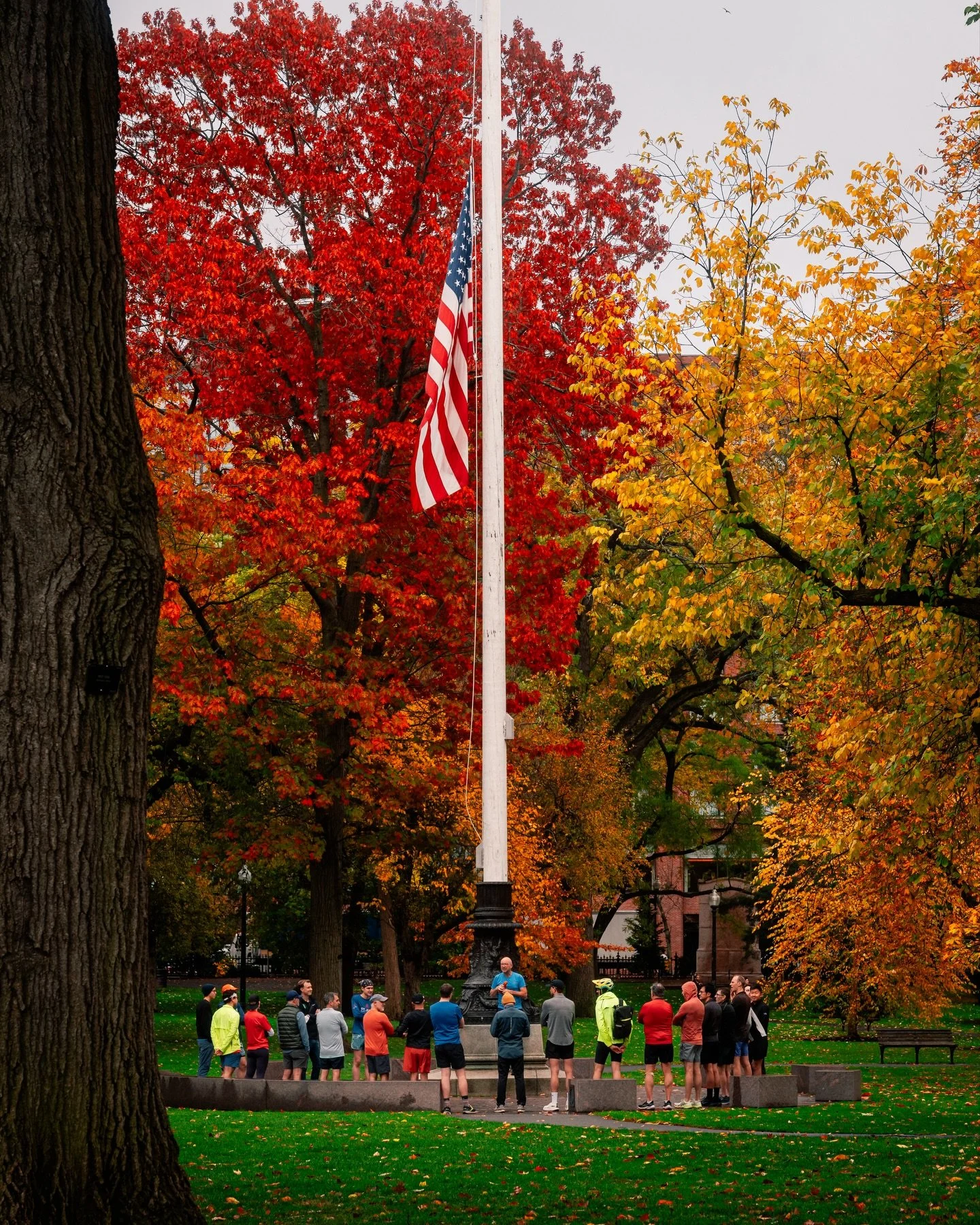 Boston in late November hits different 🍂 
There&rsquo;s this quiet shift that happens right before Thanksgiving, when the color hangs on just long enough to feel special, and the Garden turns into a mix of history, stillness, and those last flashes 