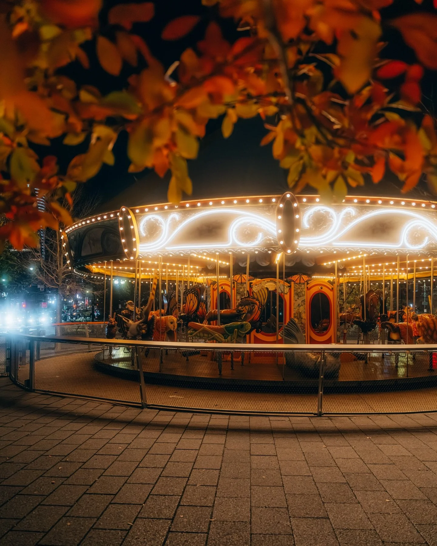 Boston slows down at night, but it never really sleeps 💫 

String lights humming
The carousel still glowing after the crowds thin out
A warm bakery window cutting through the cold like an open invitation

This is the version of the city I love most.