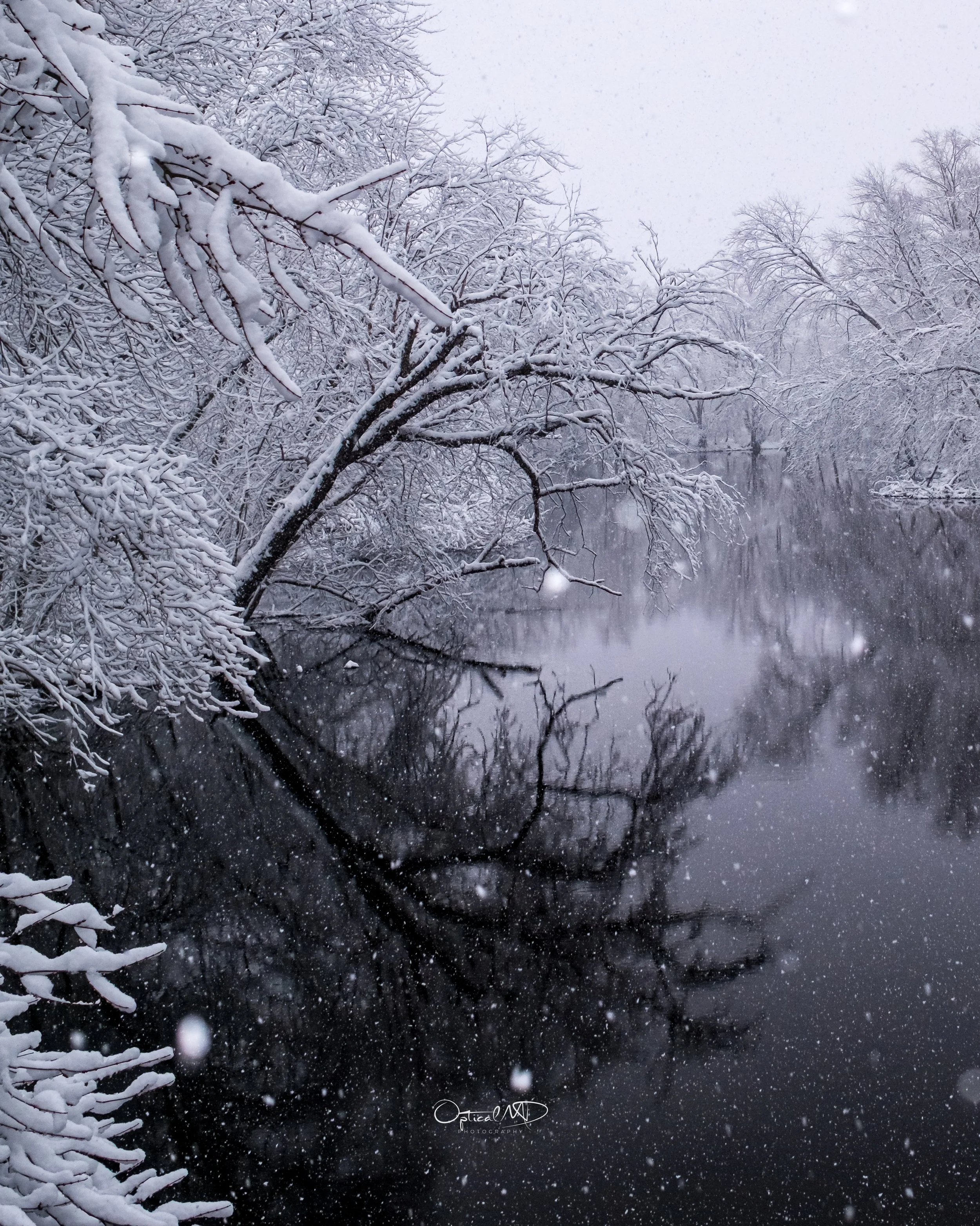 Snow-covered trees and branches reflecting in a calm river, with snow falling in a winter landscape.