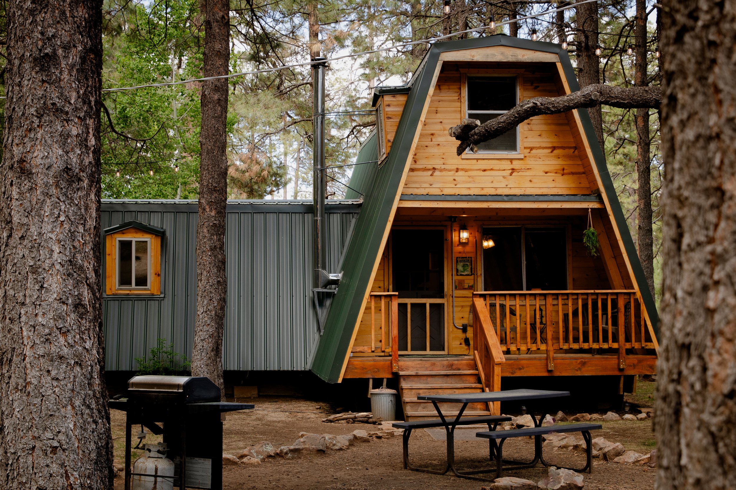 Cabin1_Exterior_2.jpg