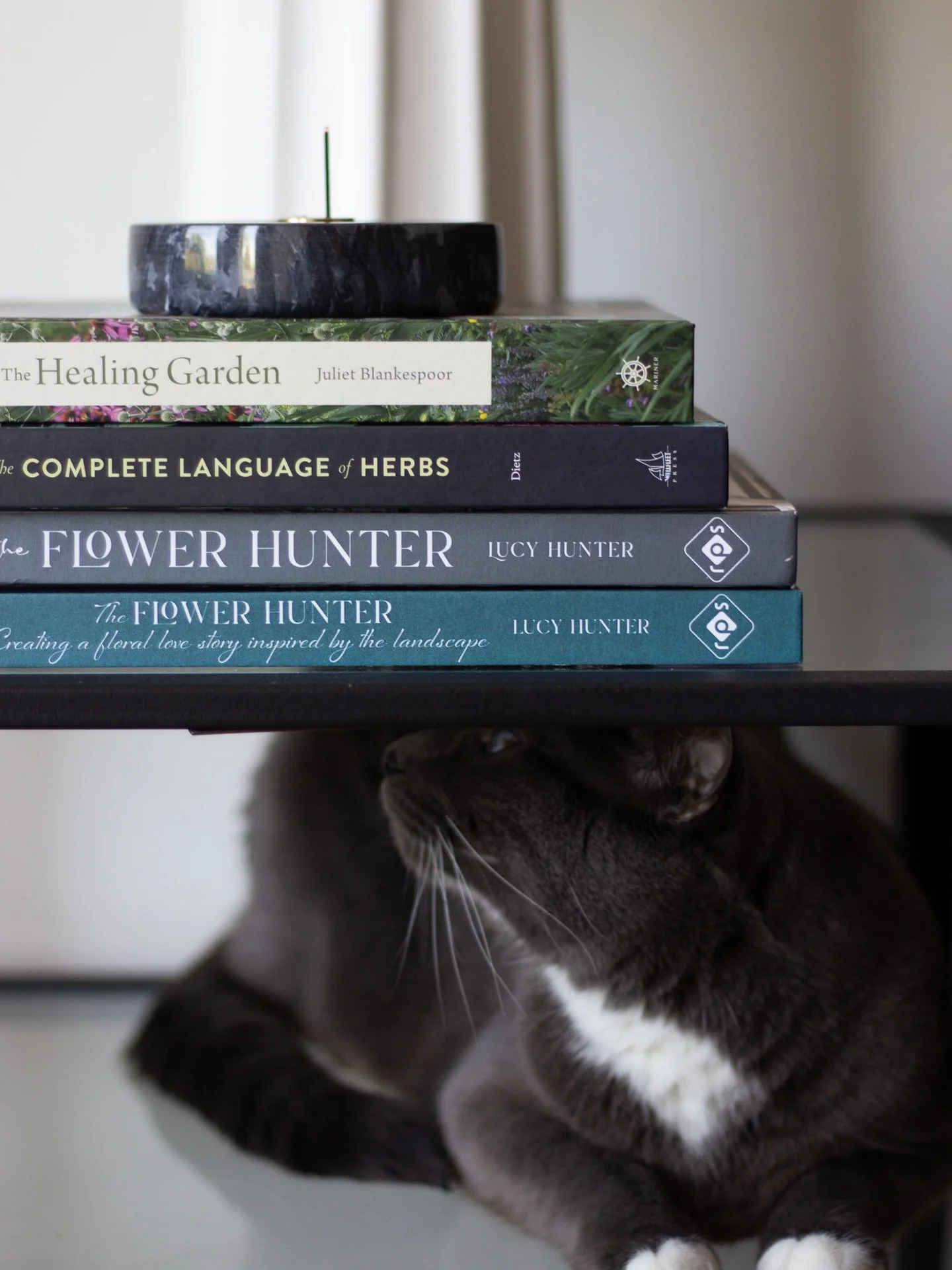 layered, thoughtful, well-composed, loads of inspiration

and just a little bit held together by a cat (or two)