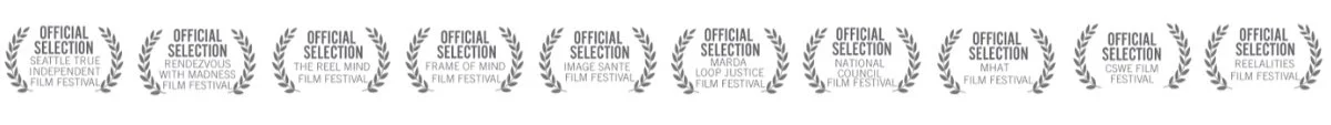 Film festivals where Hidden Pictures was screened