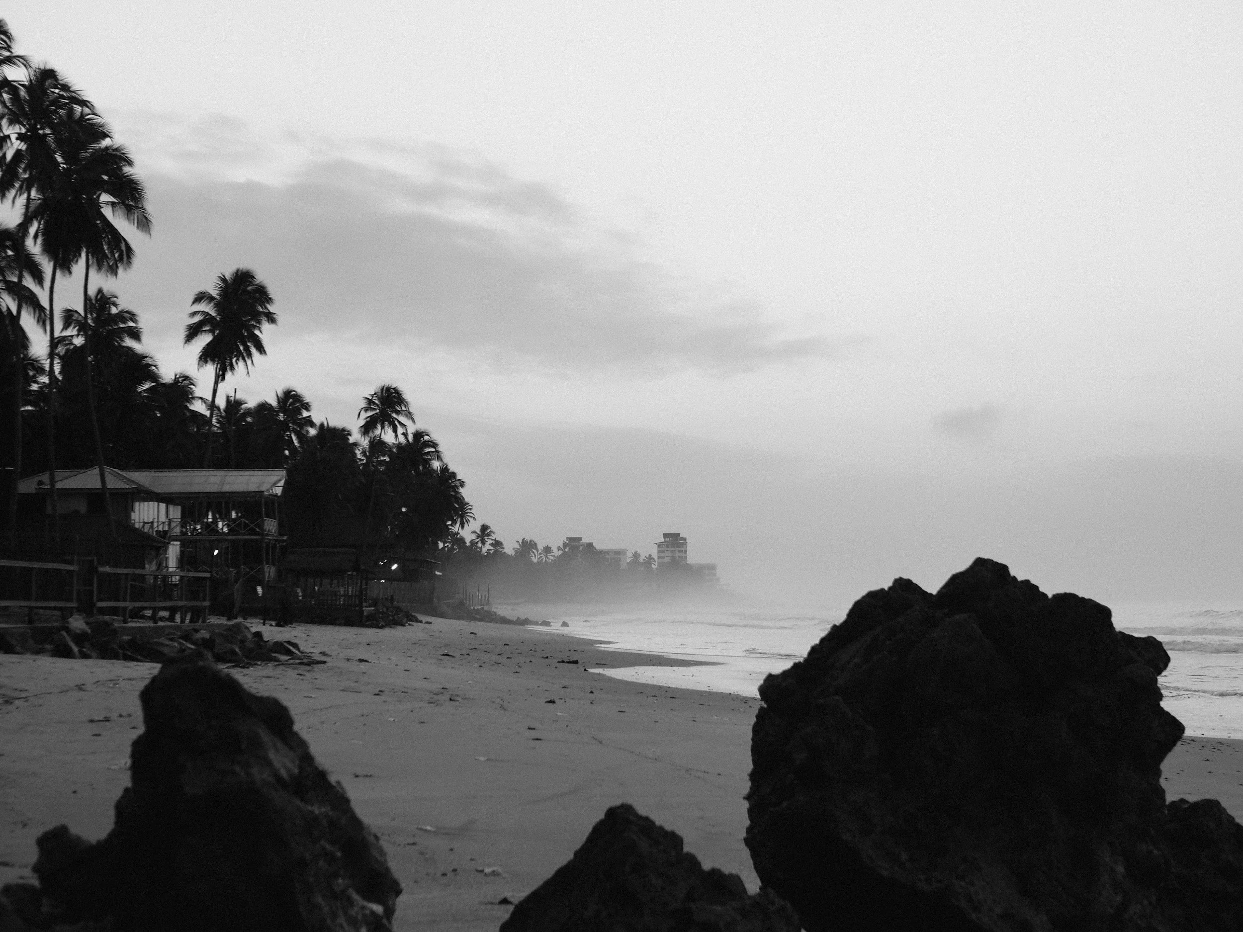Black and white image of a beach with rocks in the foreground, palm trees lining the shore, and buildings in the background on a cloudy day.