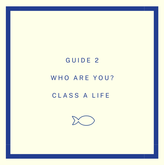 CLASS A LIFE - GUIDE 1 - HOW I GOT SOBER - FINAL GUIDE 2025 (671 x 676 px) (4).png