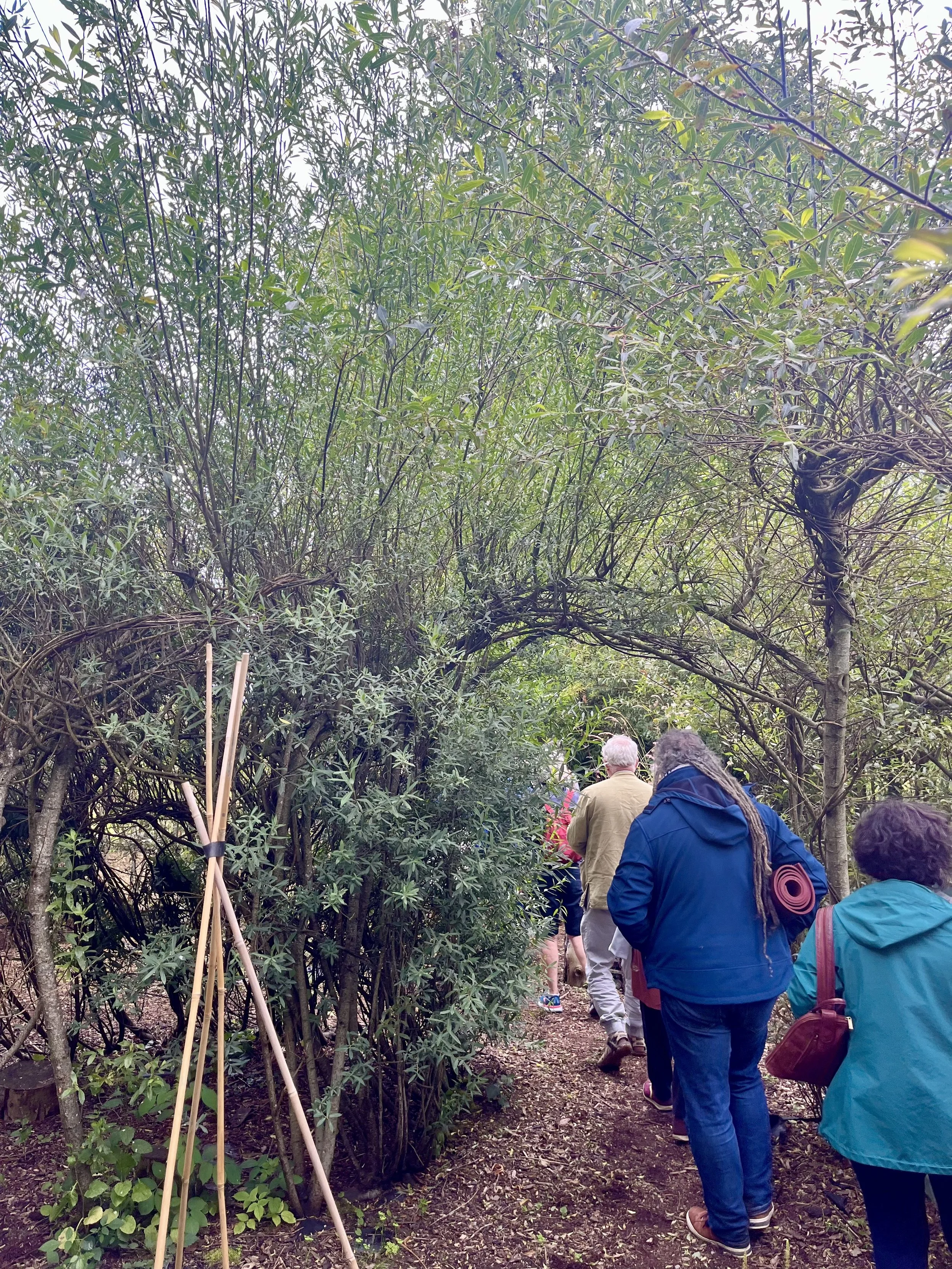 Thoughts from Cloughjordan: The EcoSattva Path
