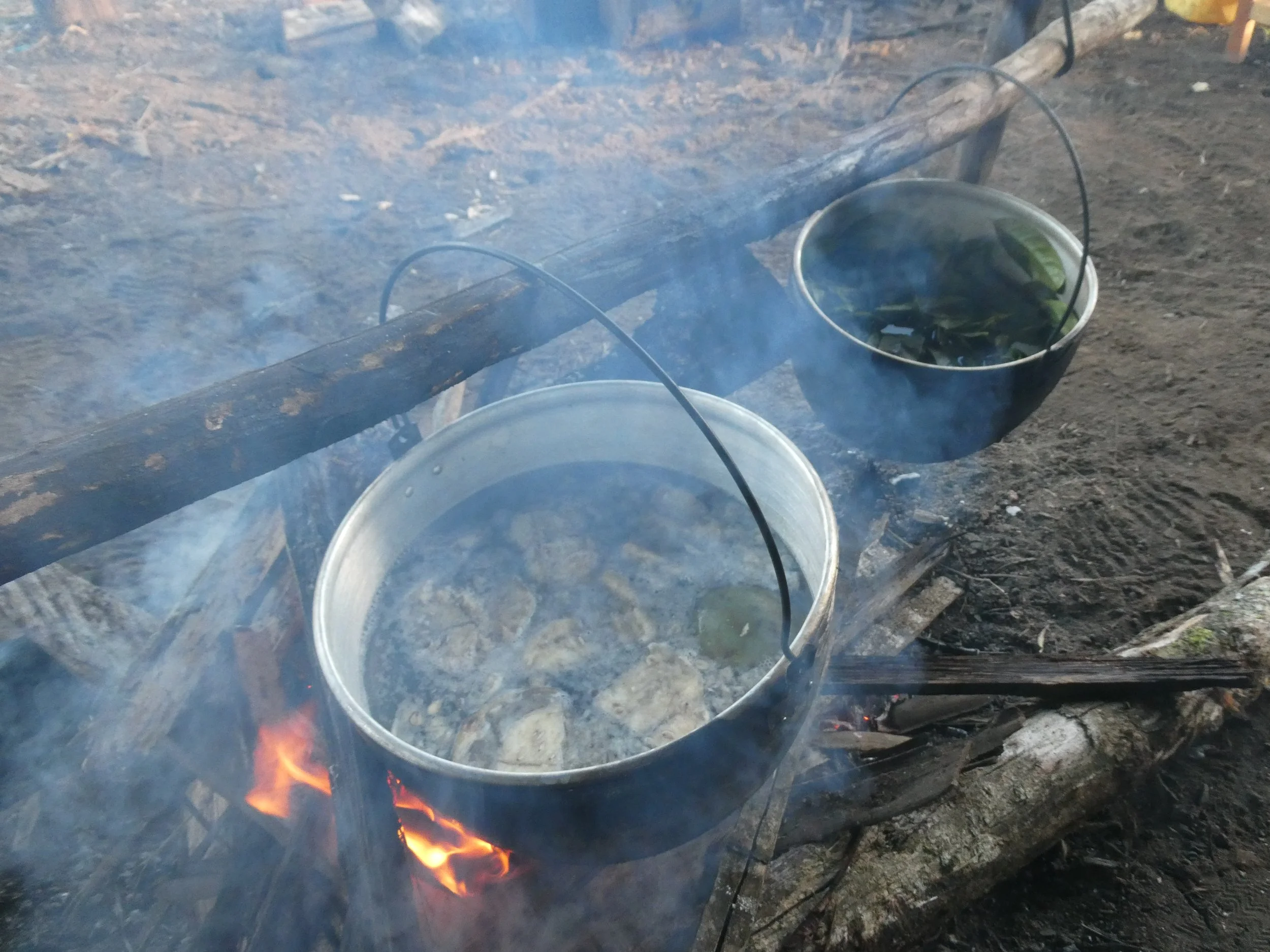 P1000821.JPG