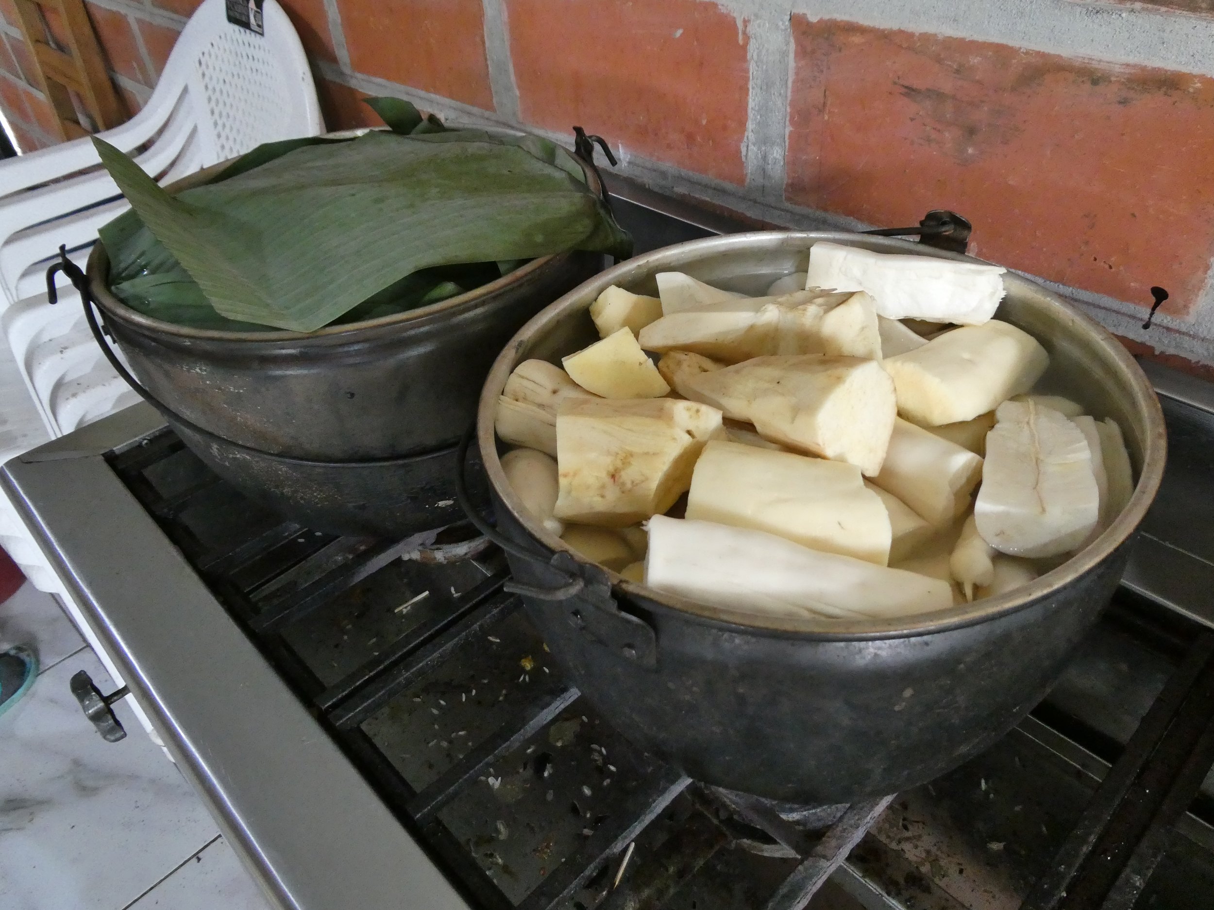 P1000643.JPG