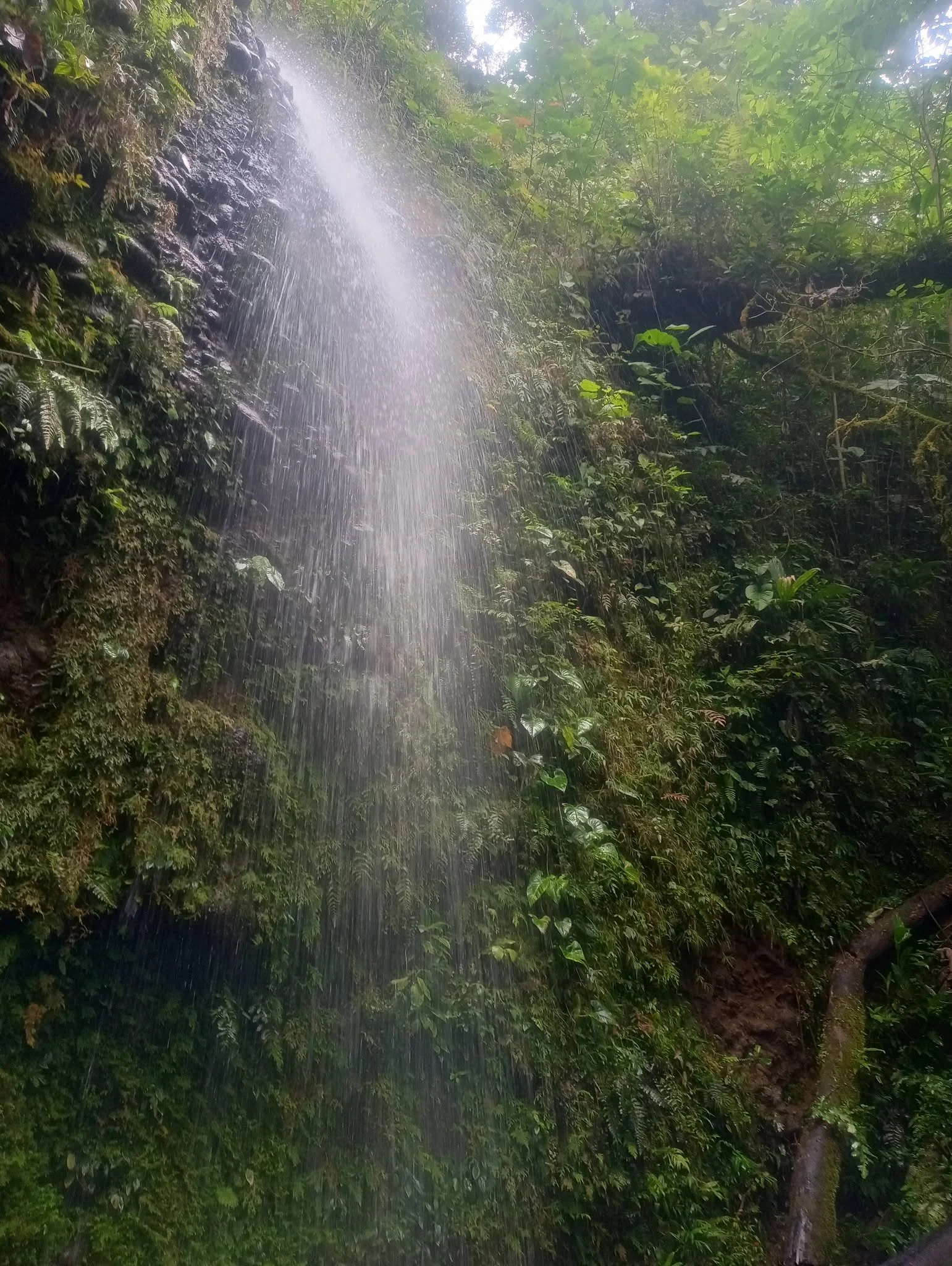 waterfall.jpg