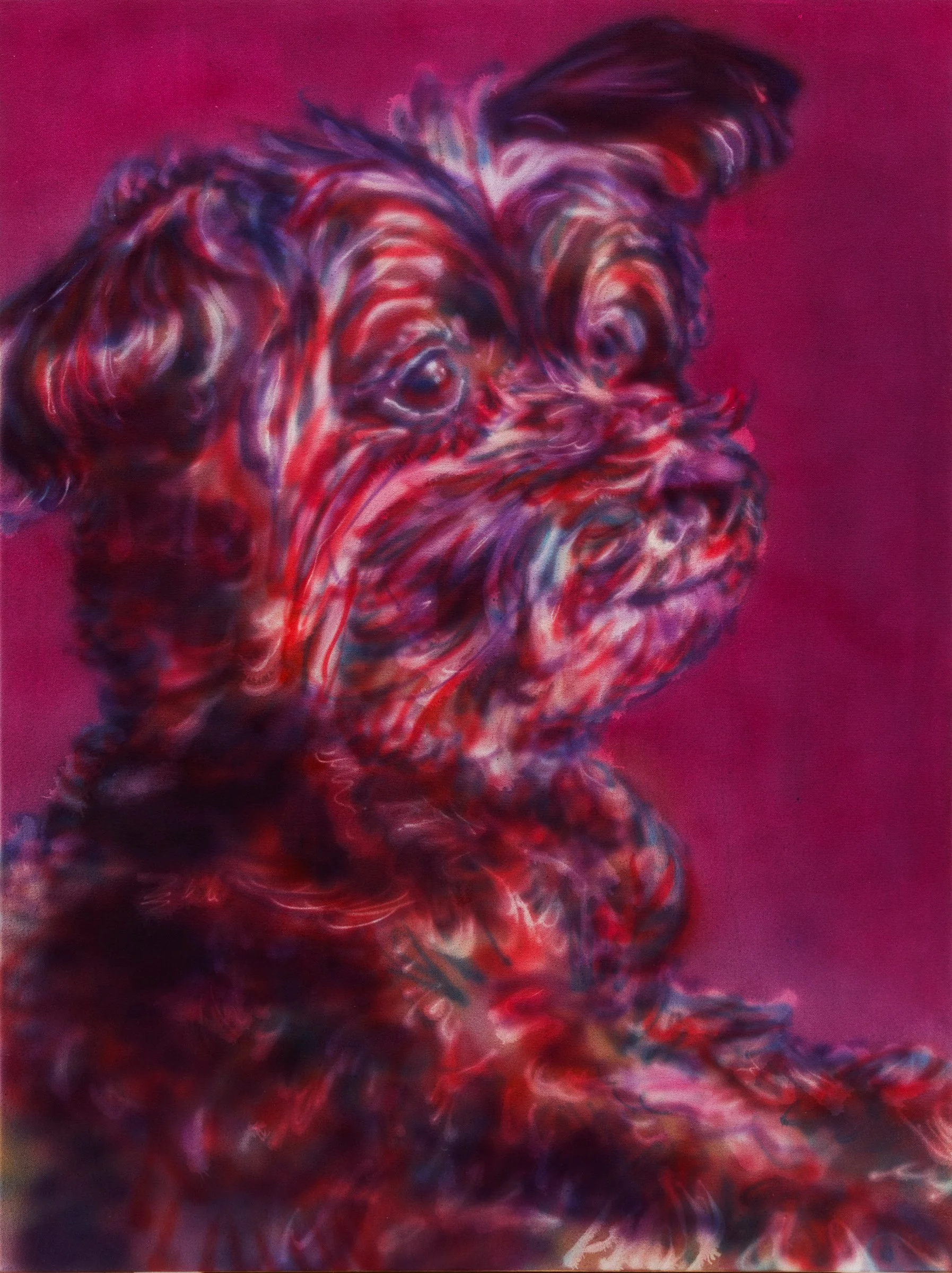 Hector - 0454