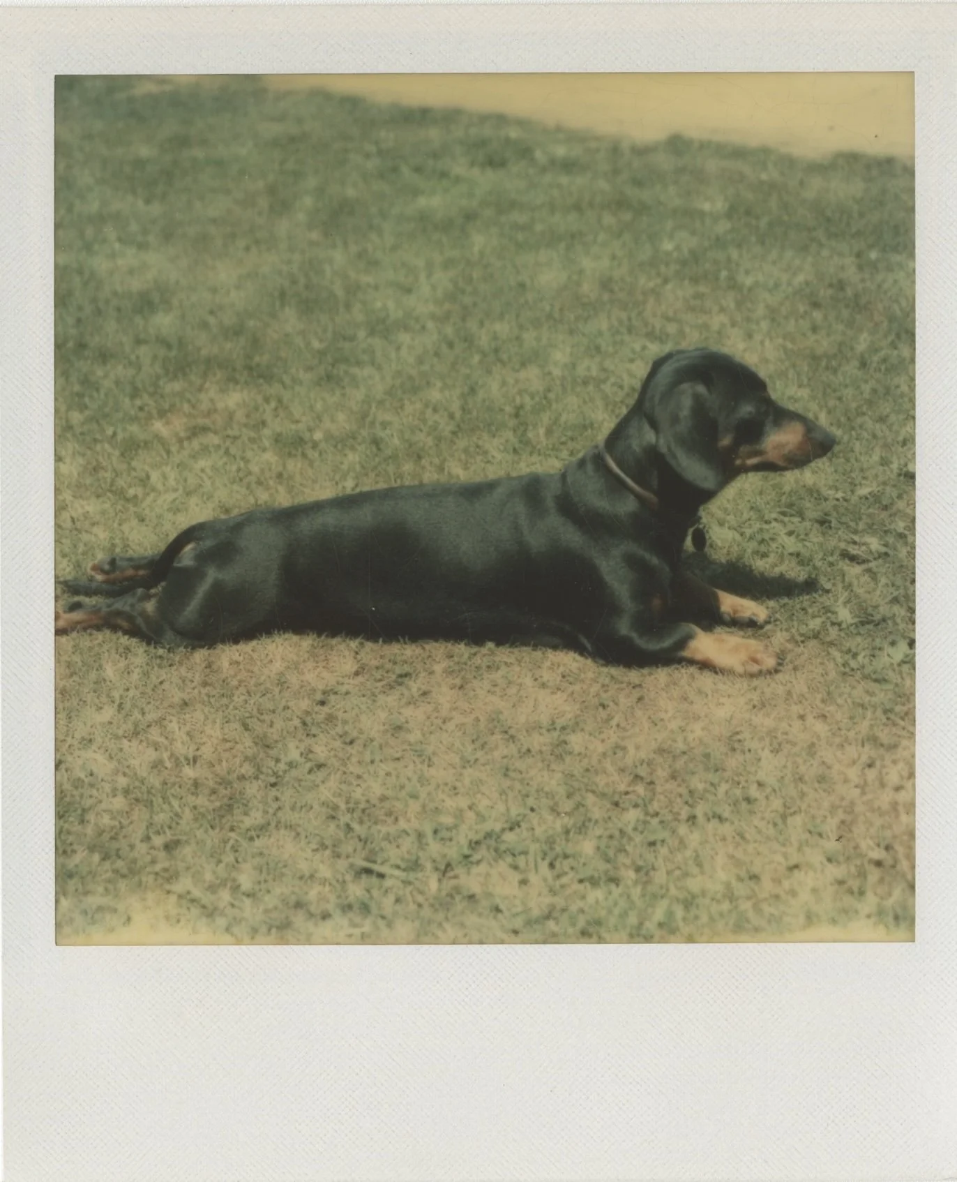 Warhol - 0371